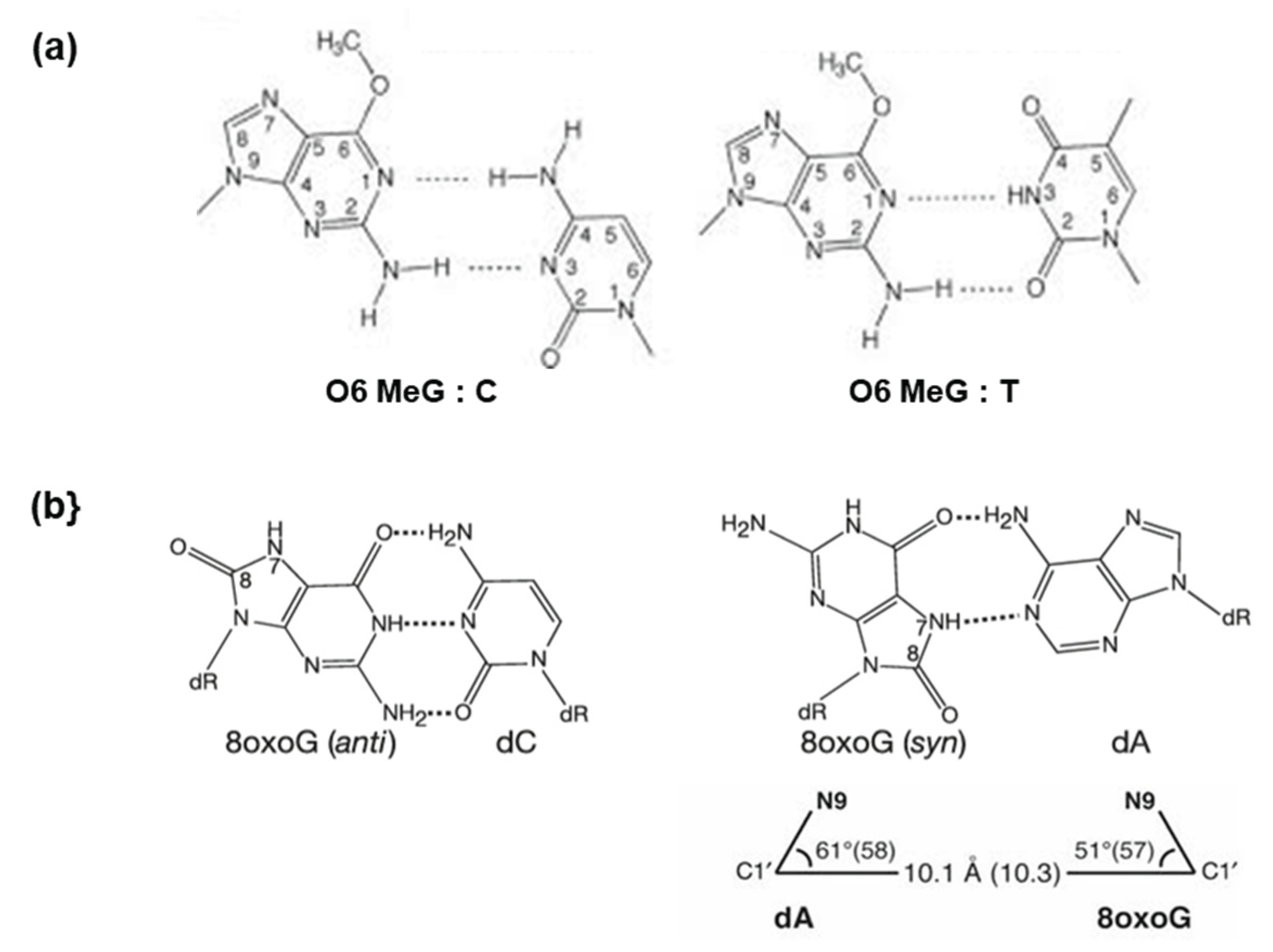 Preprints 191661 g005