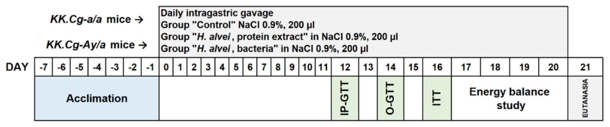 Preprints 218644 g001