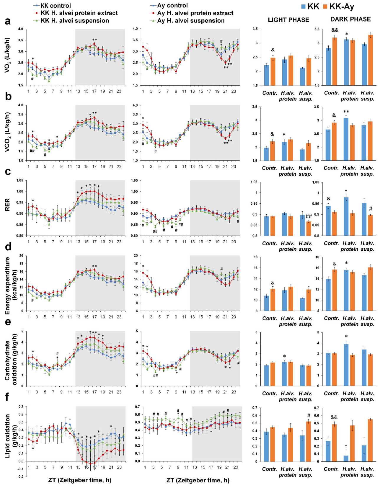Preprints 218644 g005