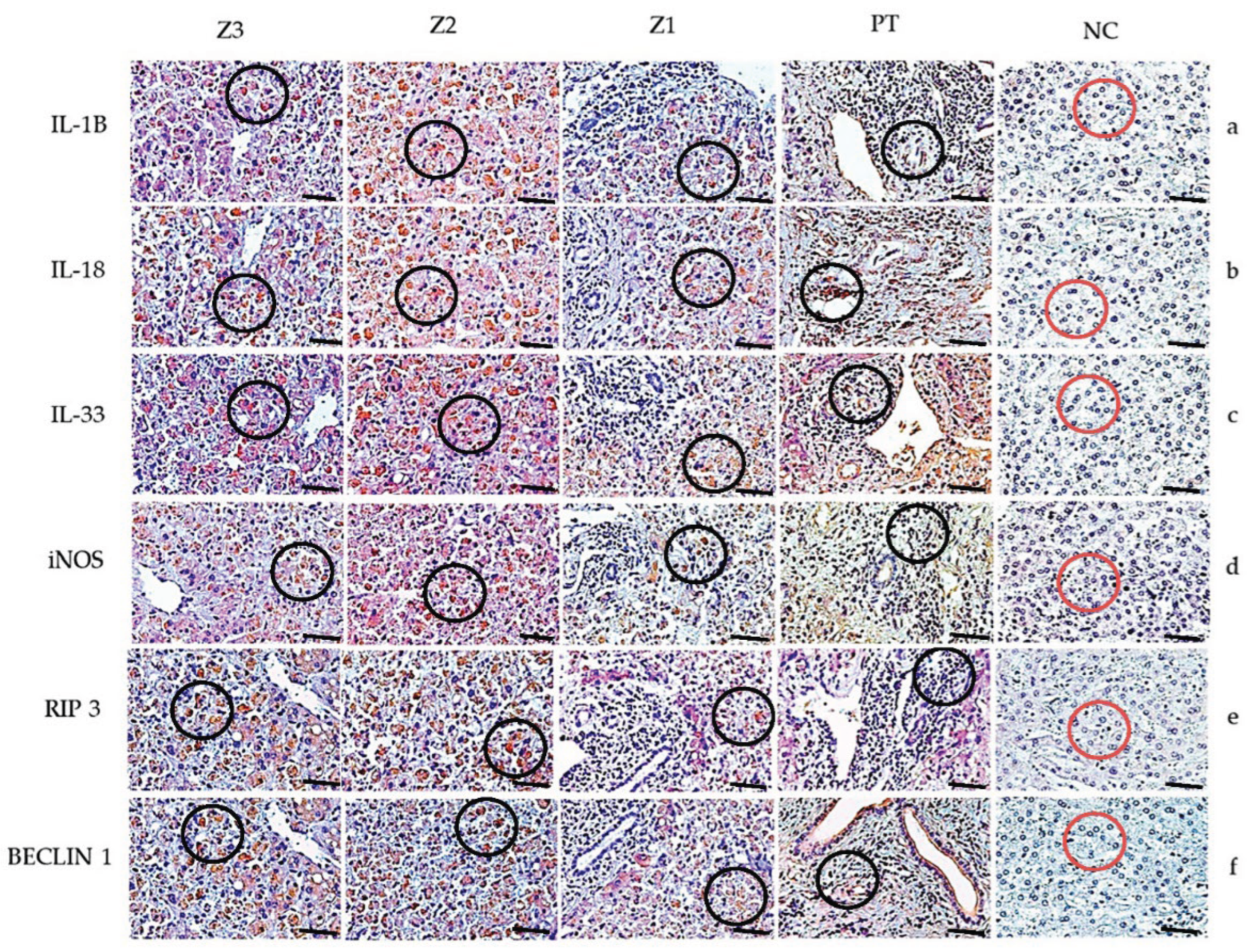 Preprints 177910 g002
