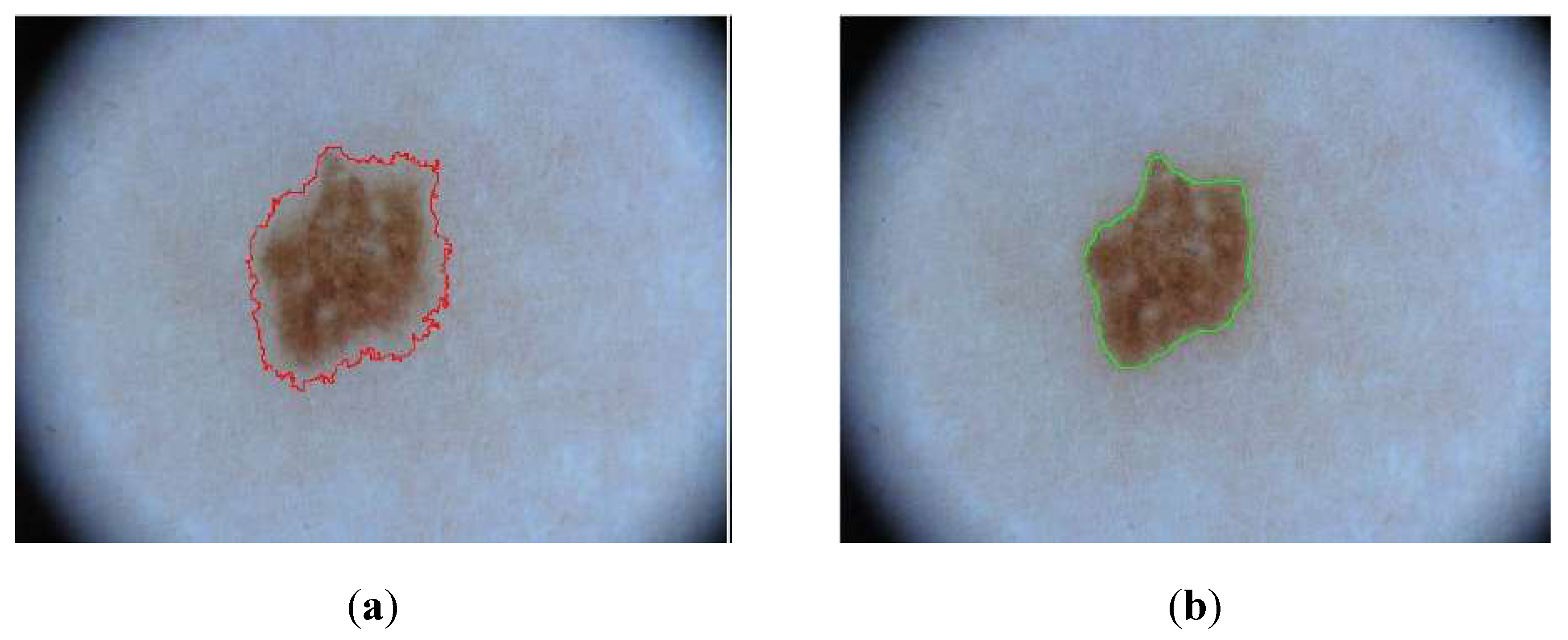 Preprints 141949 g009