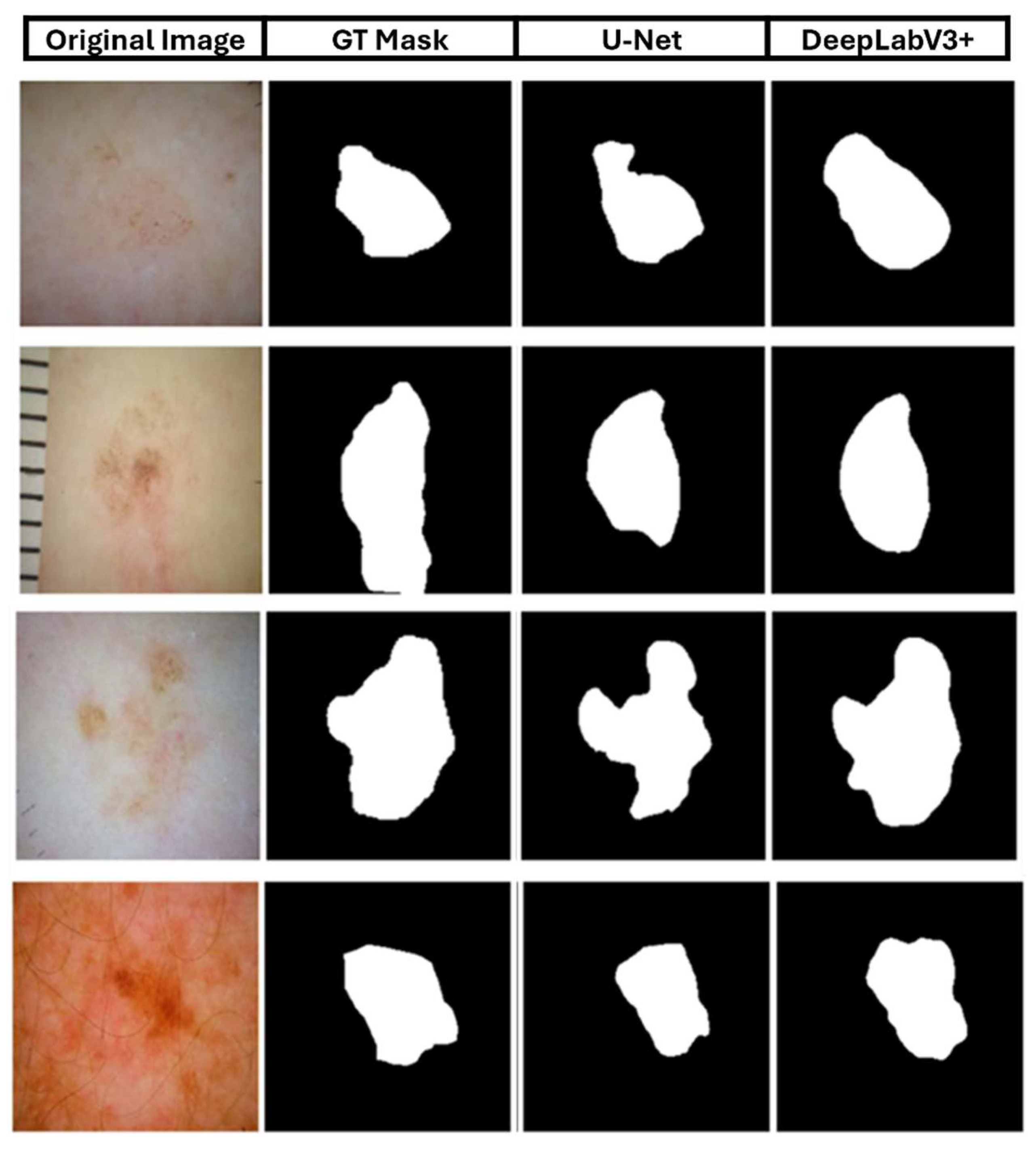 Preprints 141949 g011