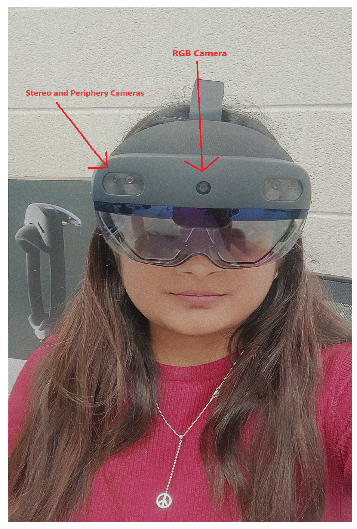 Preprints 161357 g012