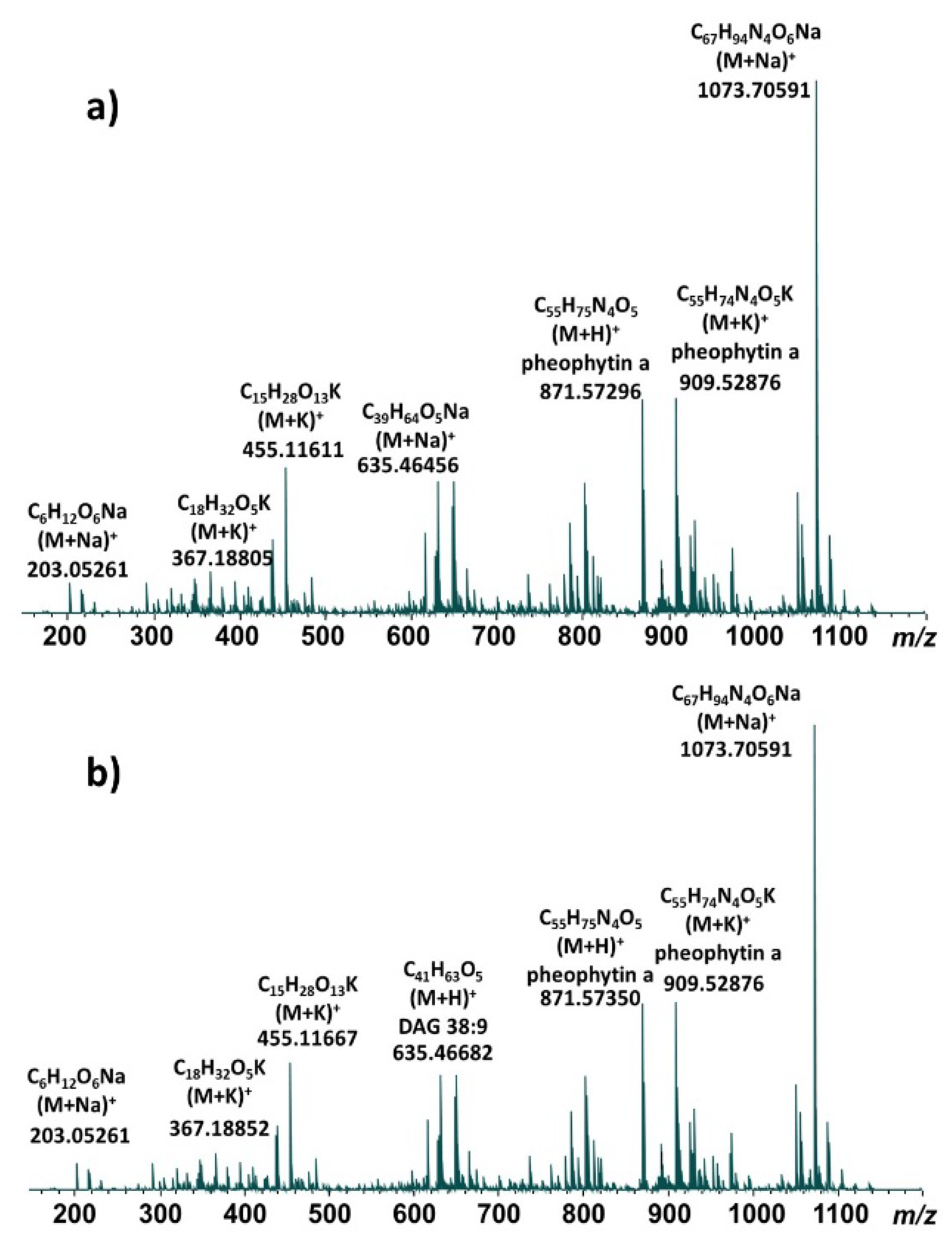 Preprints 142640 g001