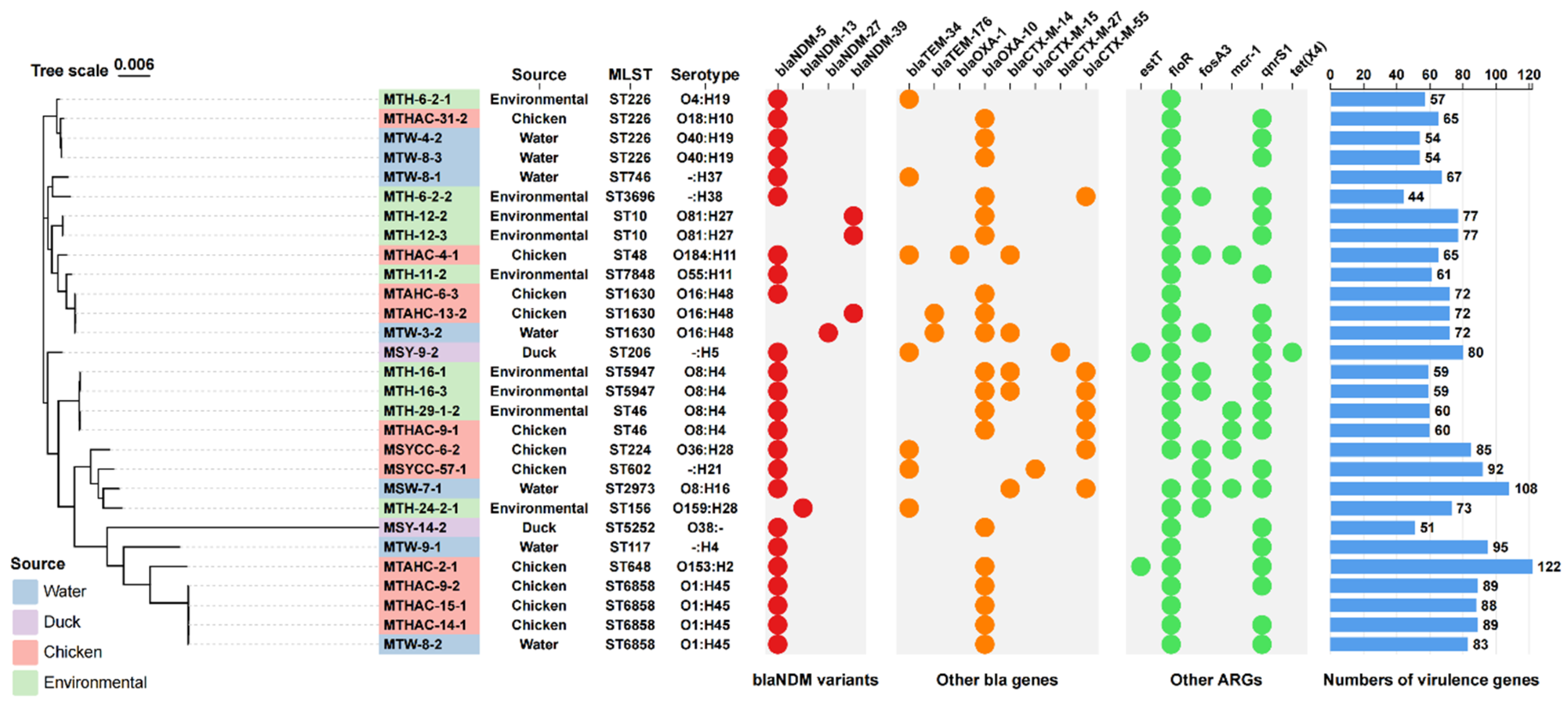 Preprints 155746 g001