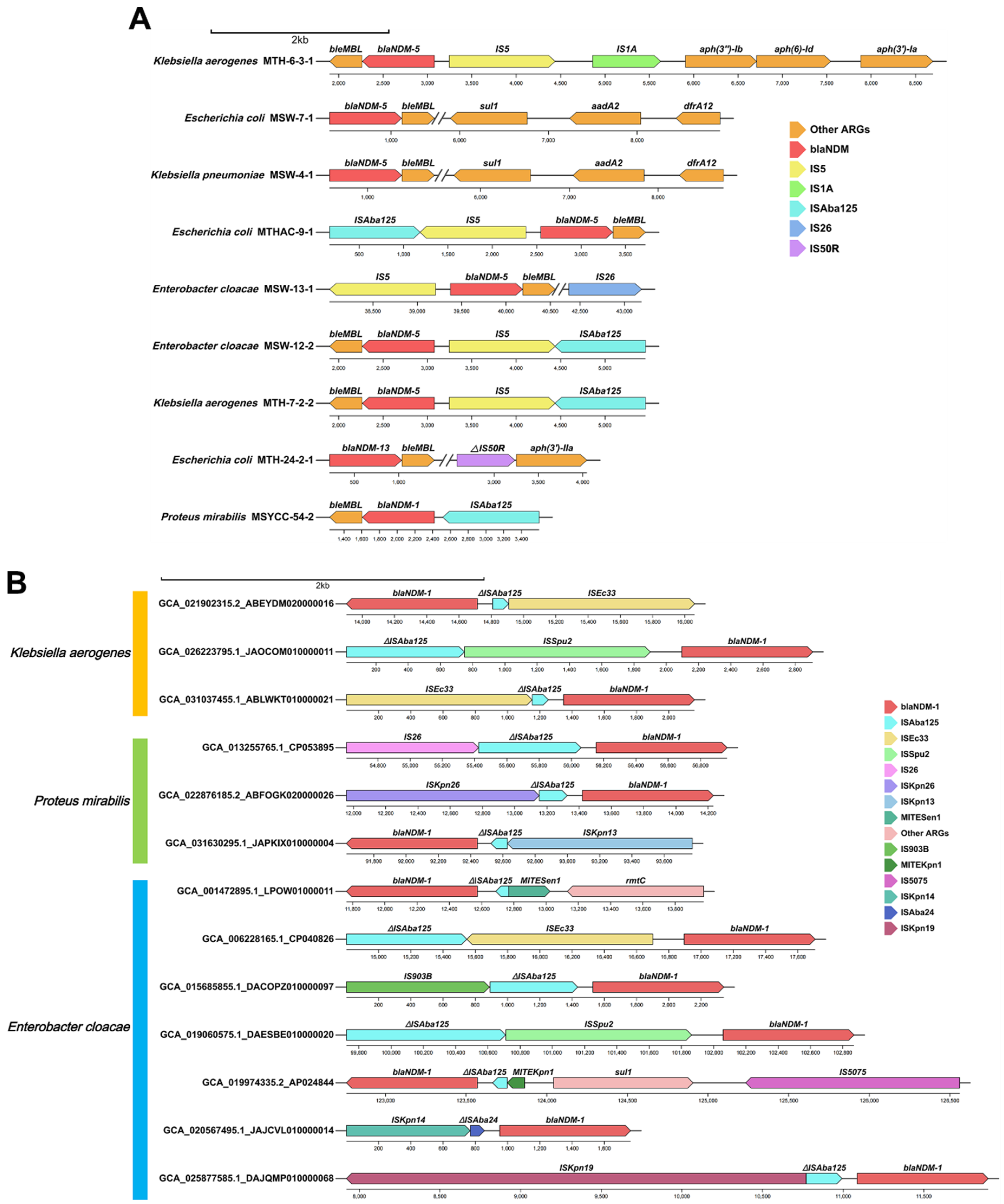 Preprints 155746 g003