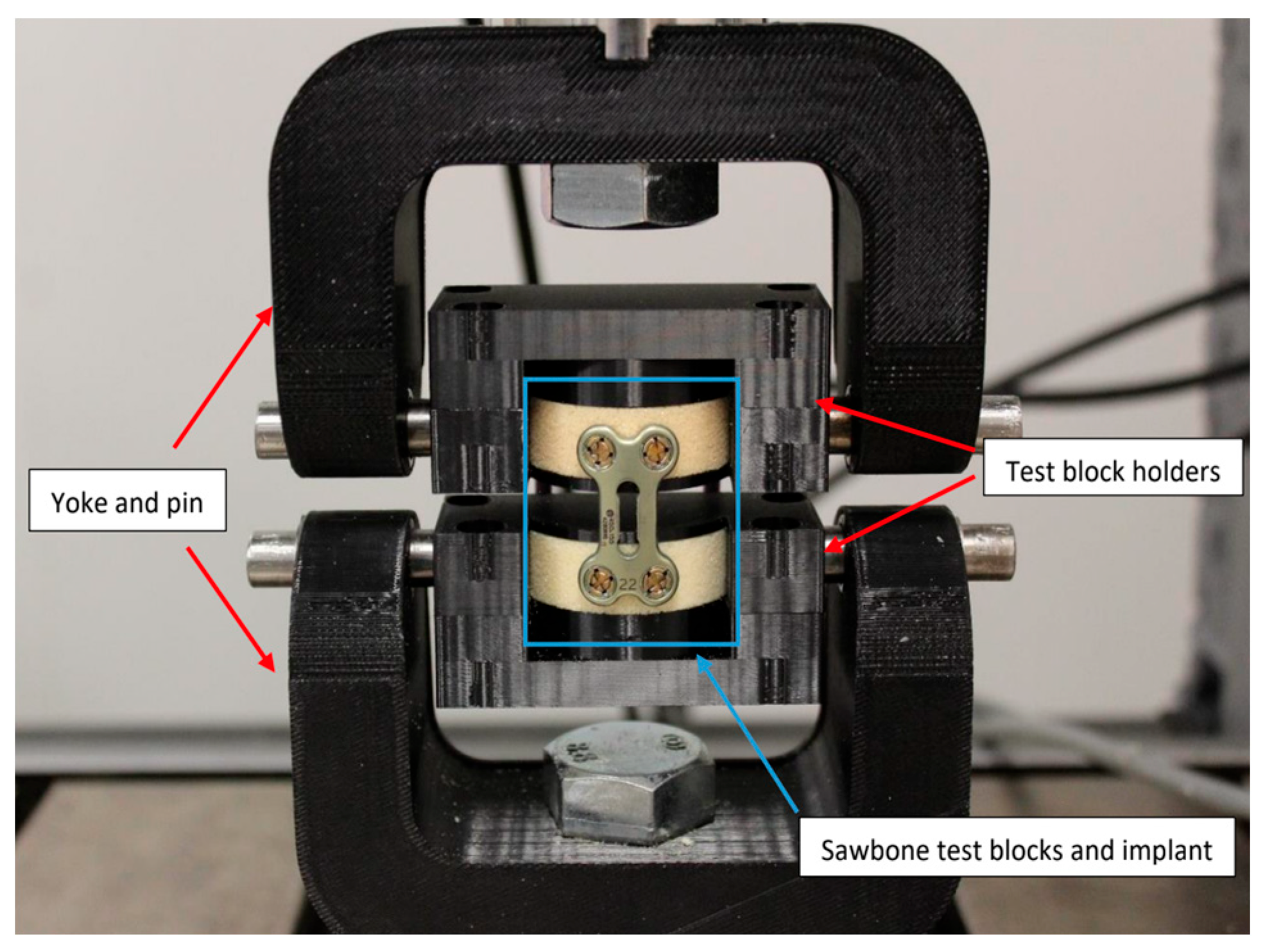 Preprints 190843 g002