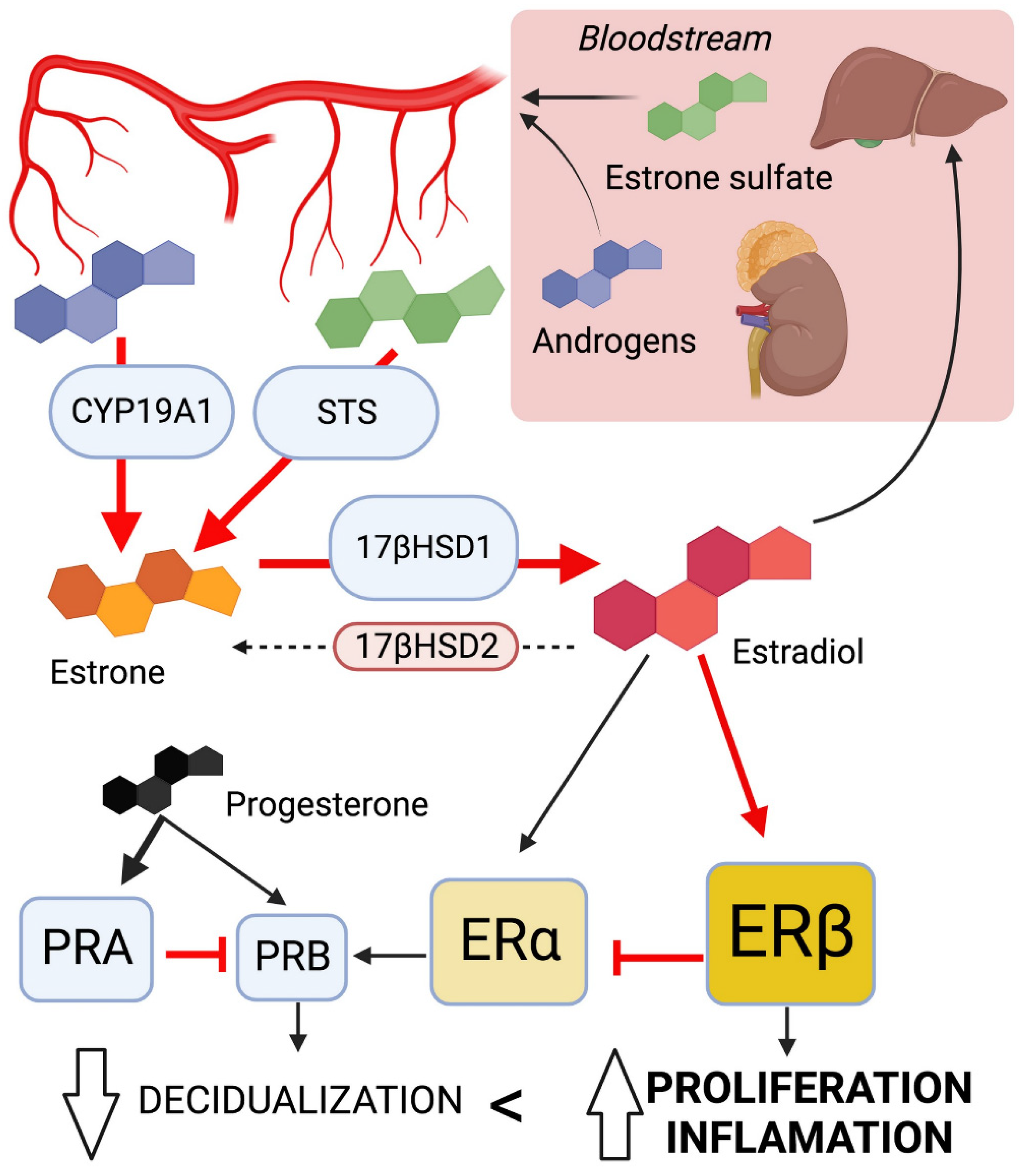 Preprints 96881 g002