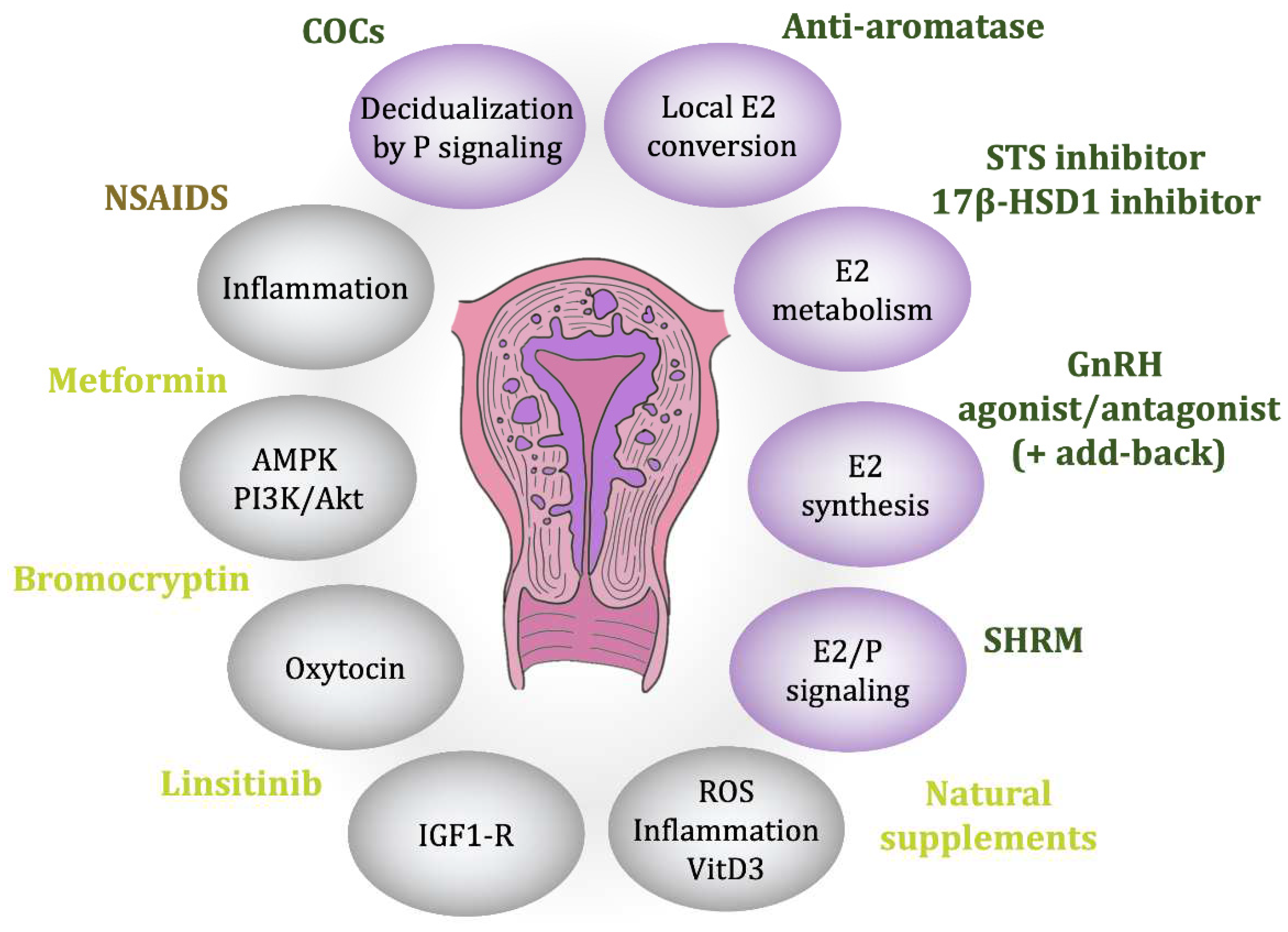 Preprints 96881 g003