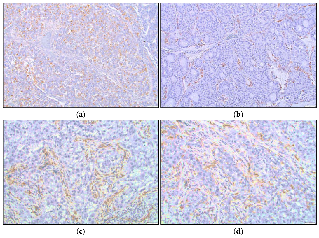 Preprints 234819 g004 Preprints 234819 g004