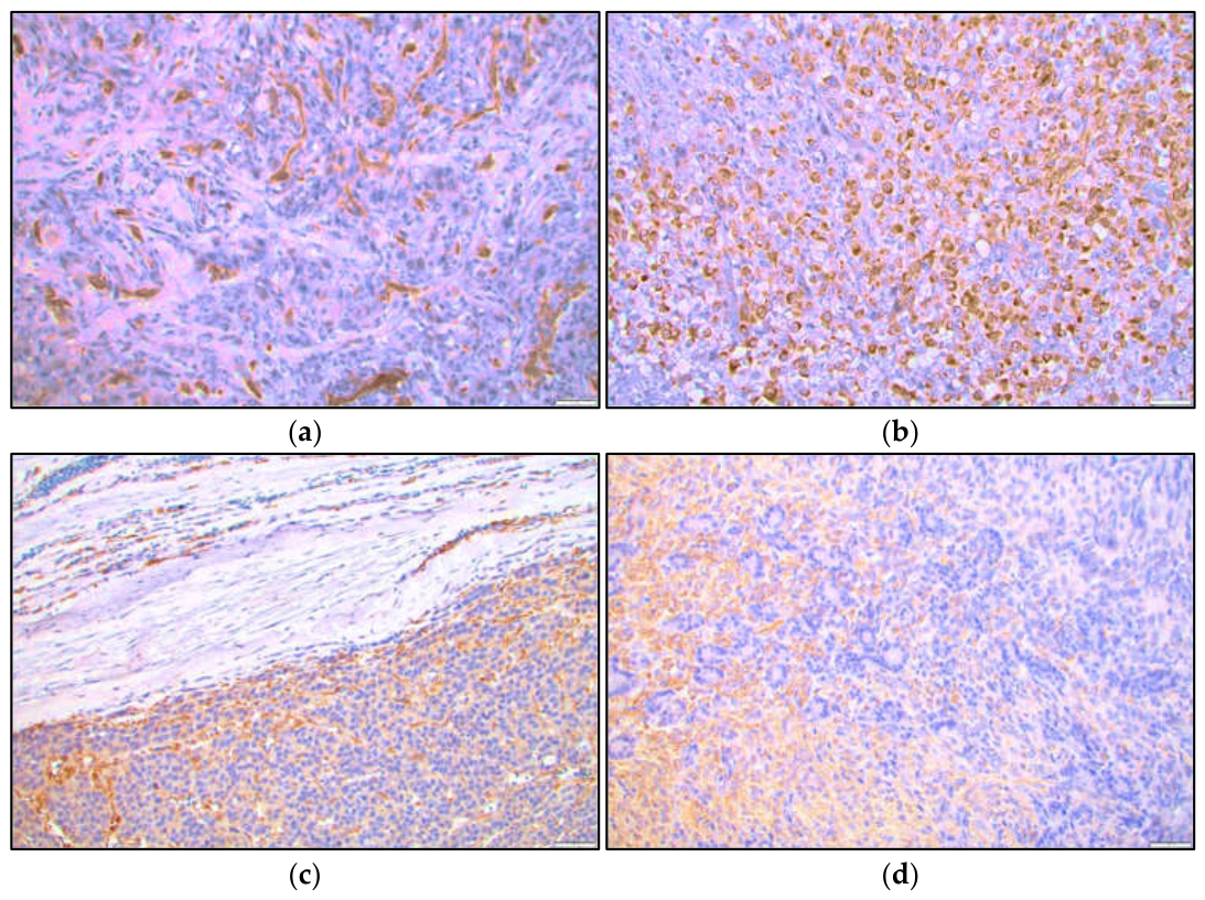 Preprints 234819 g005 Preprints 234819 g005