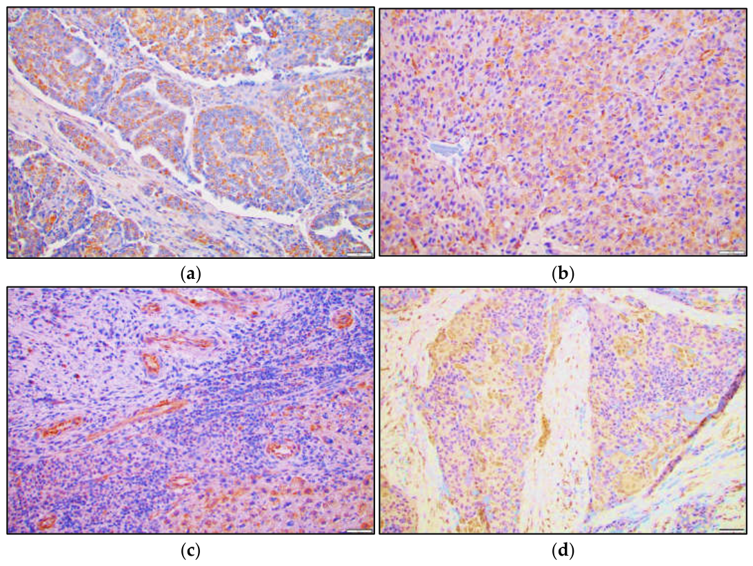 Preprints 234819 g011 Preprints 234819 g011