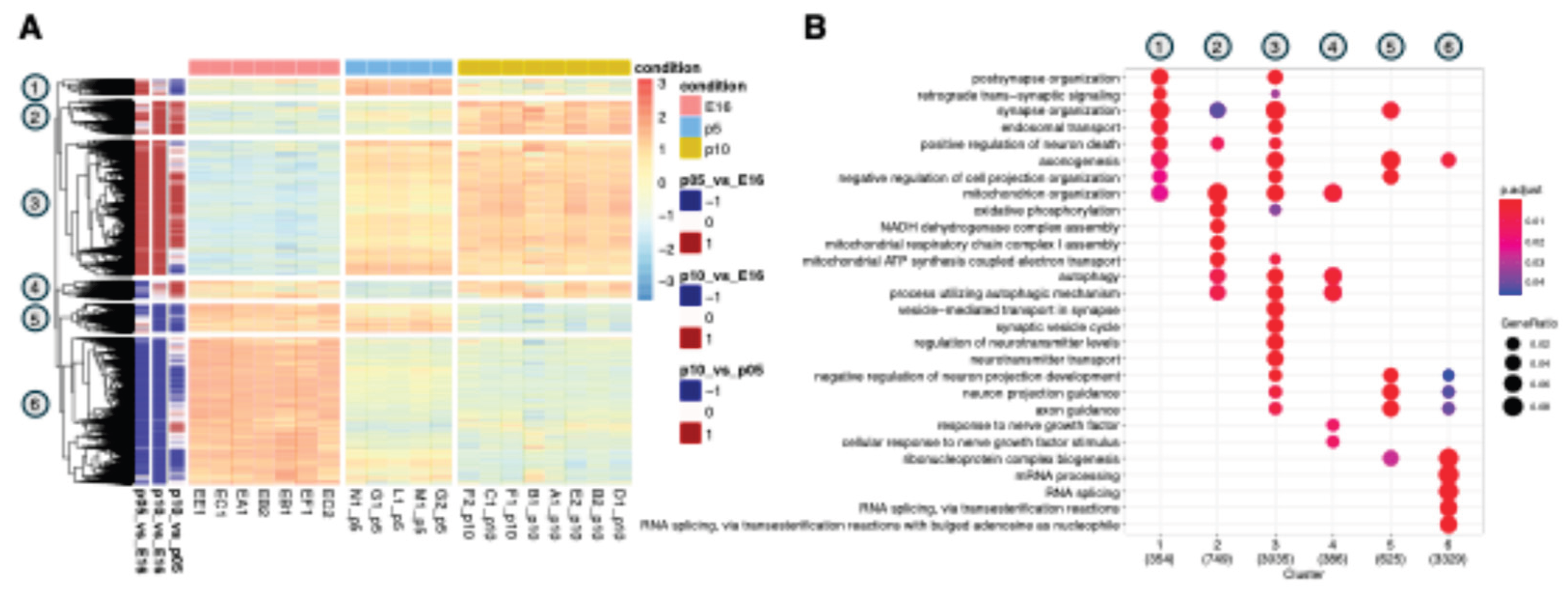 Preprints 199448 g001