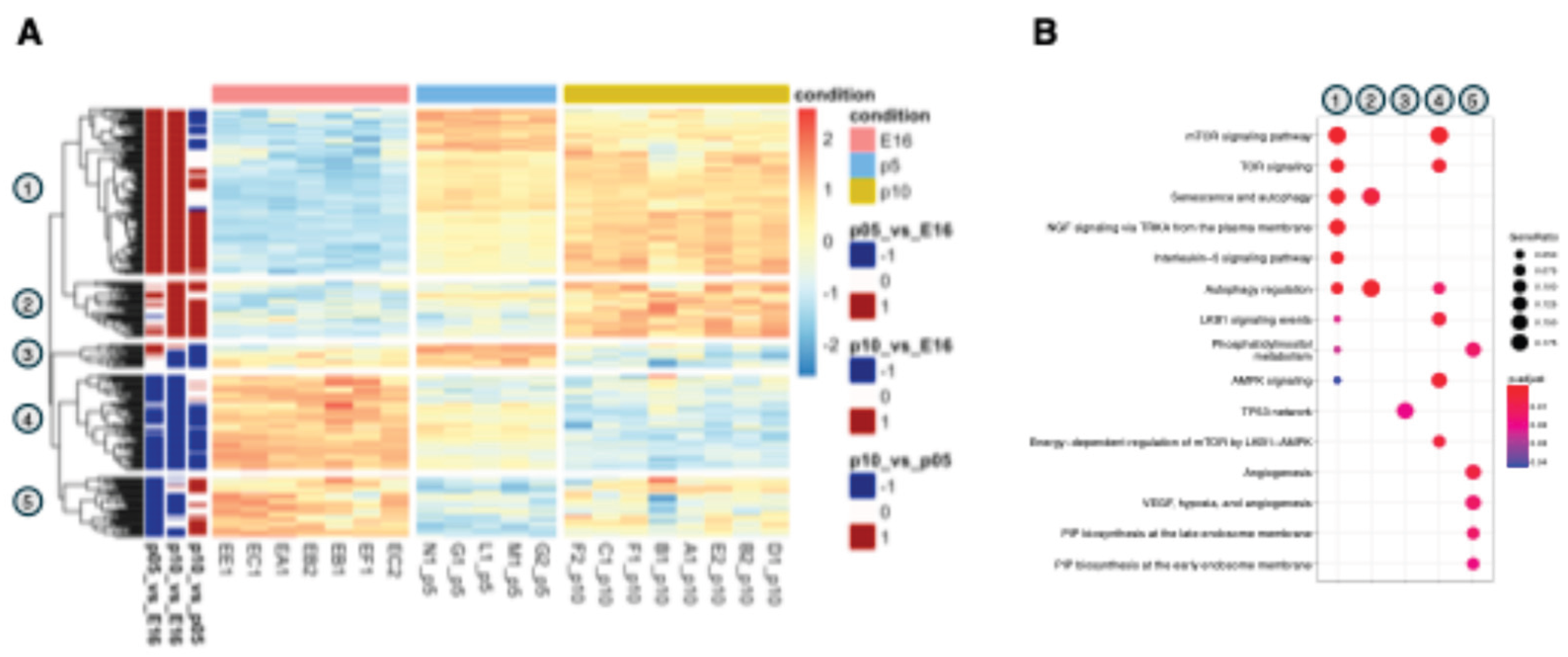 Preprints 199448 g002