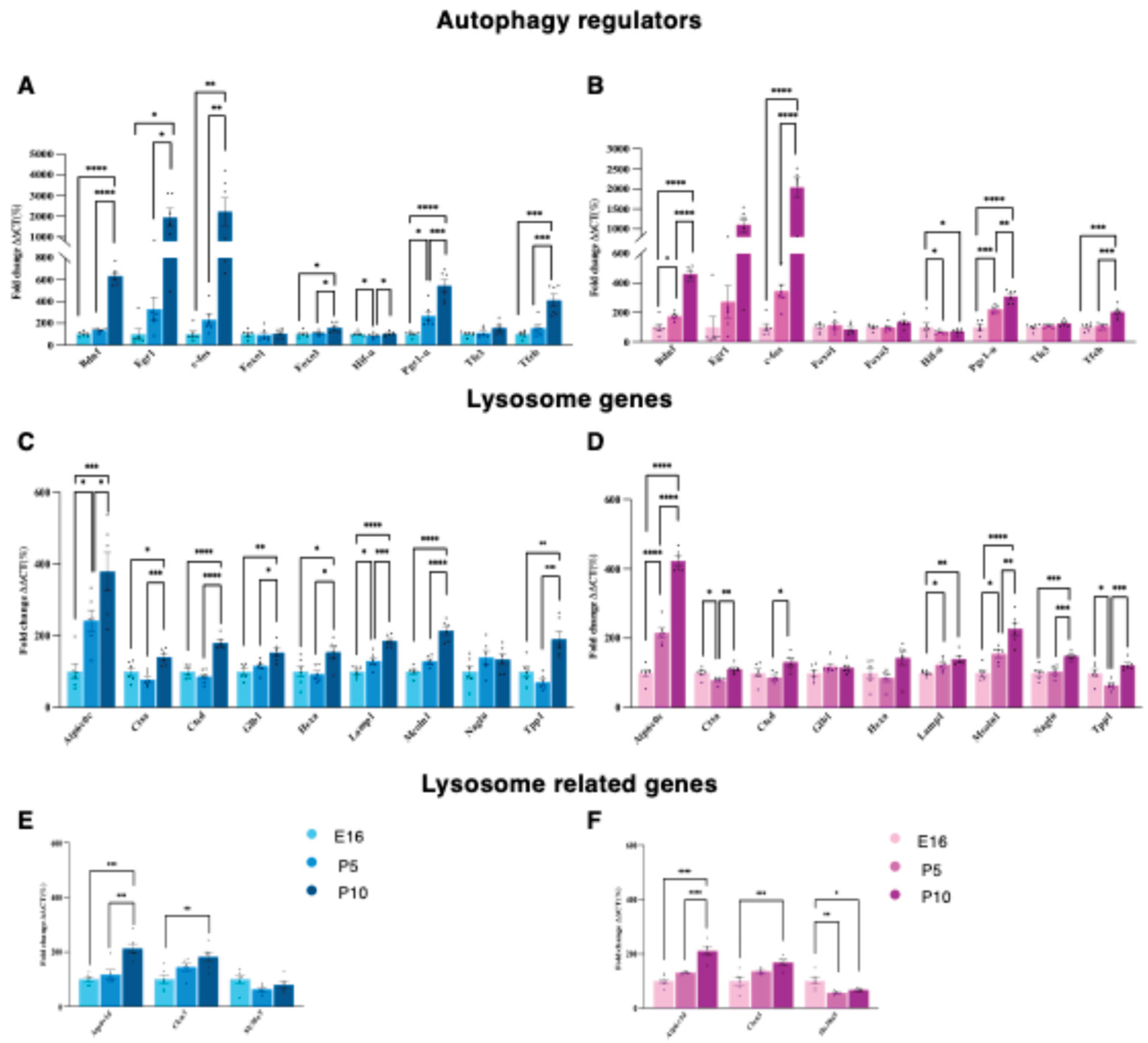 Preprints 199448 g003