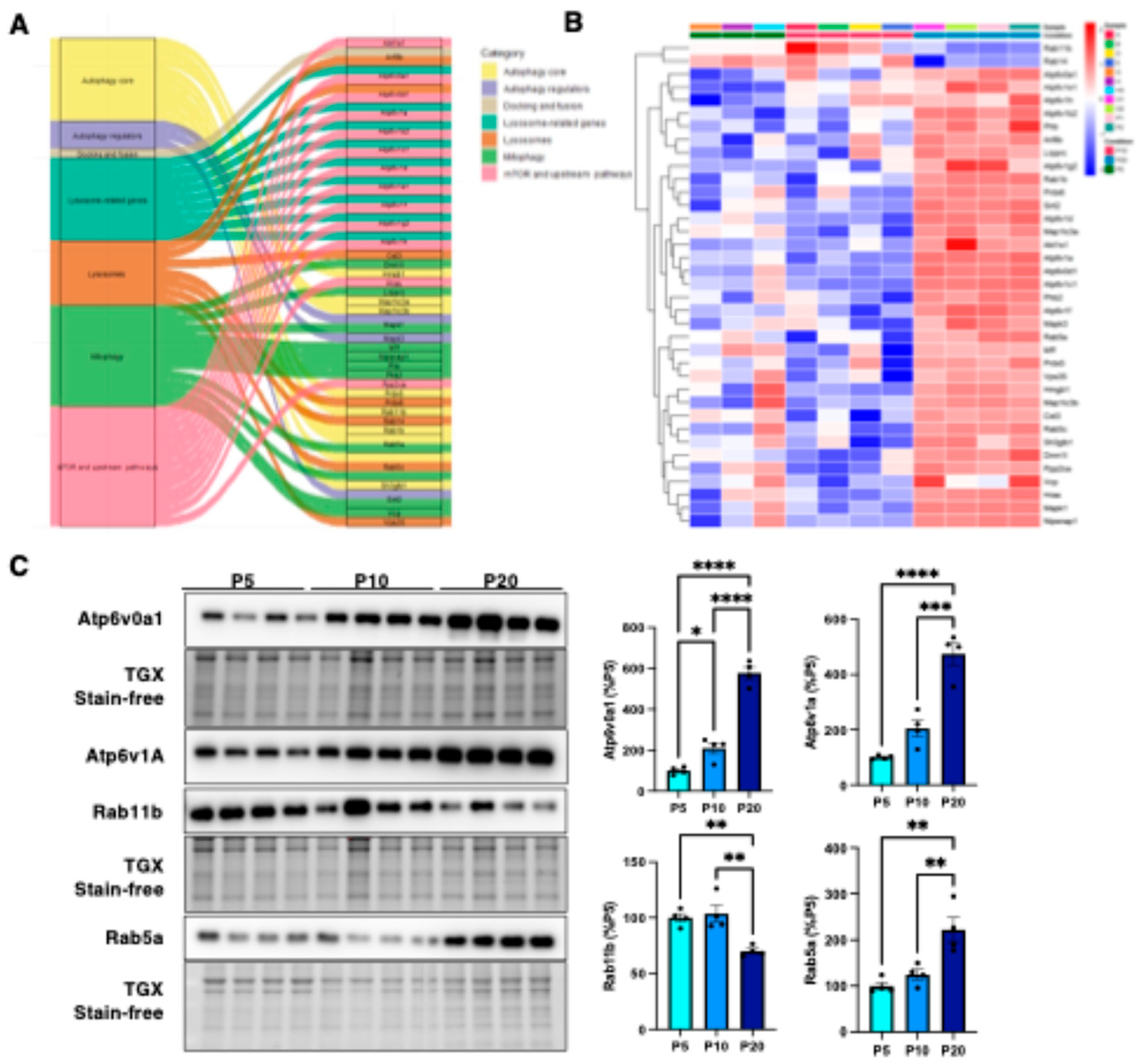 Preprints 199448 g006