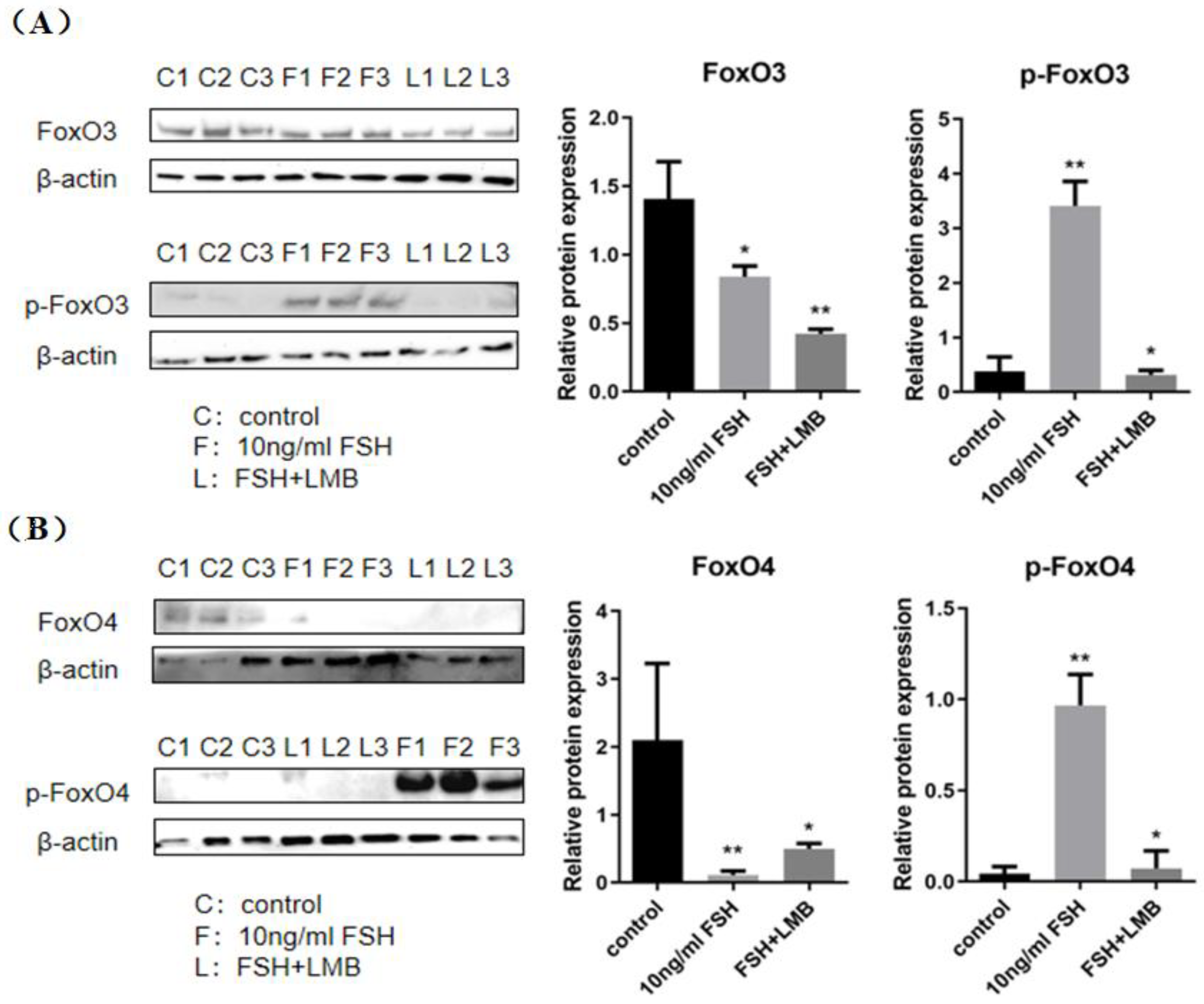 Preprints 153434 g002