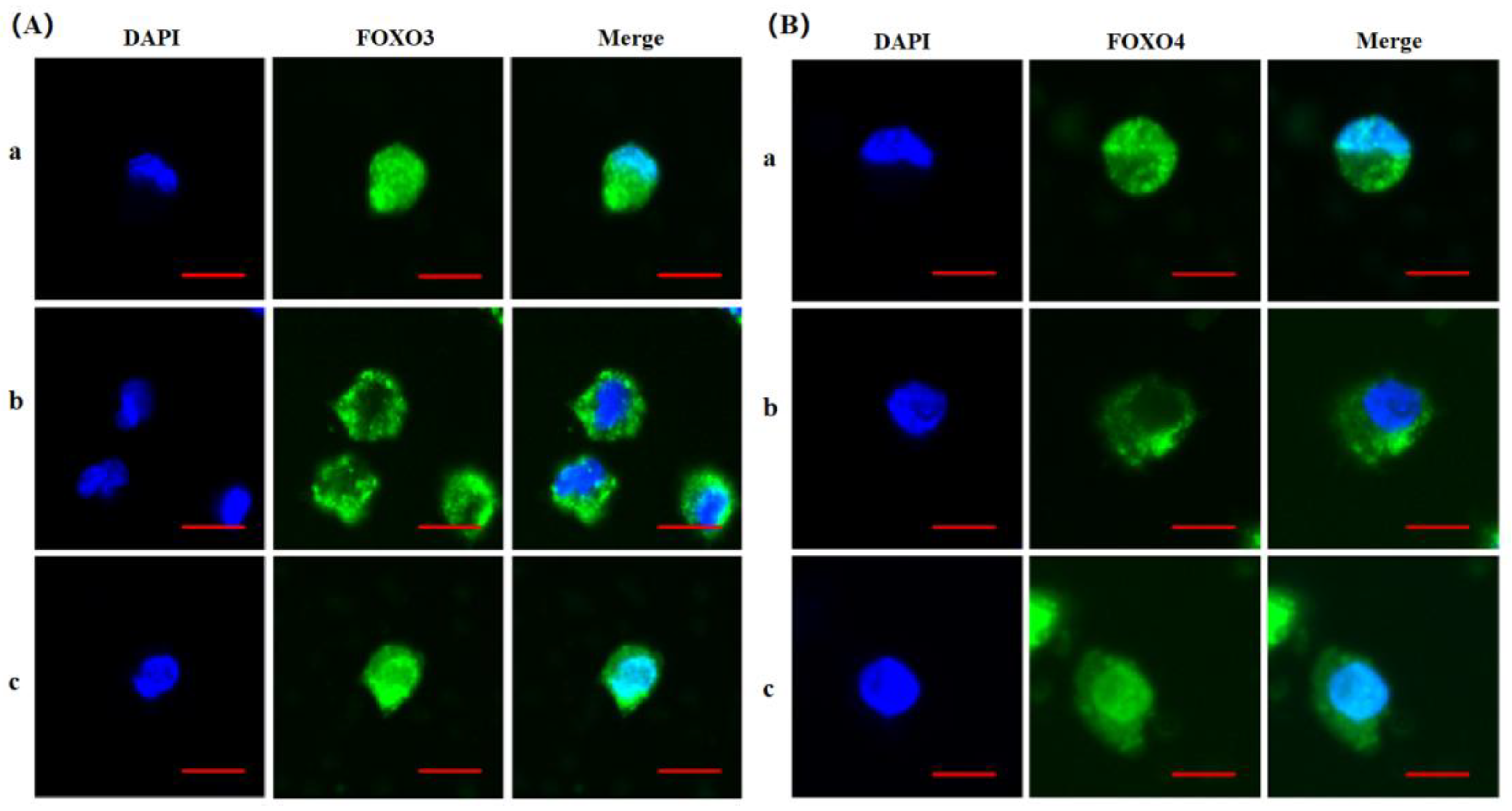 Preprints 153434 g003
