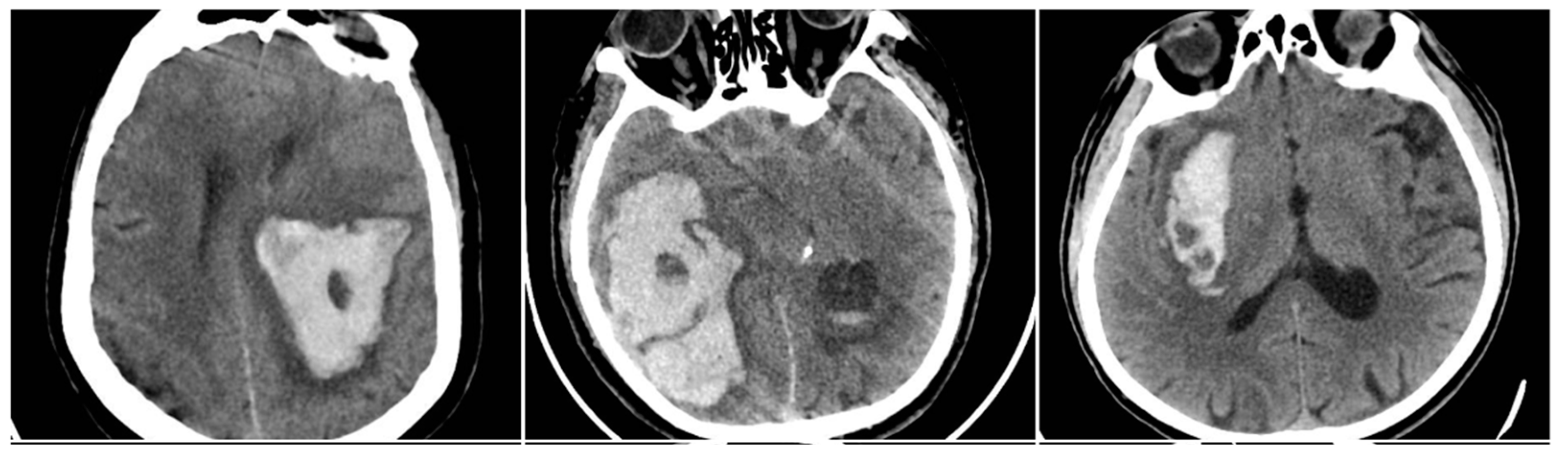 Preprints 159420 g002