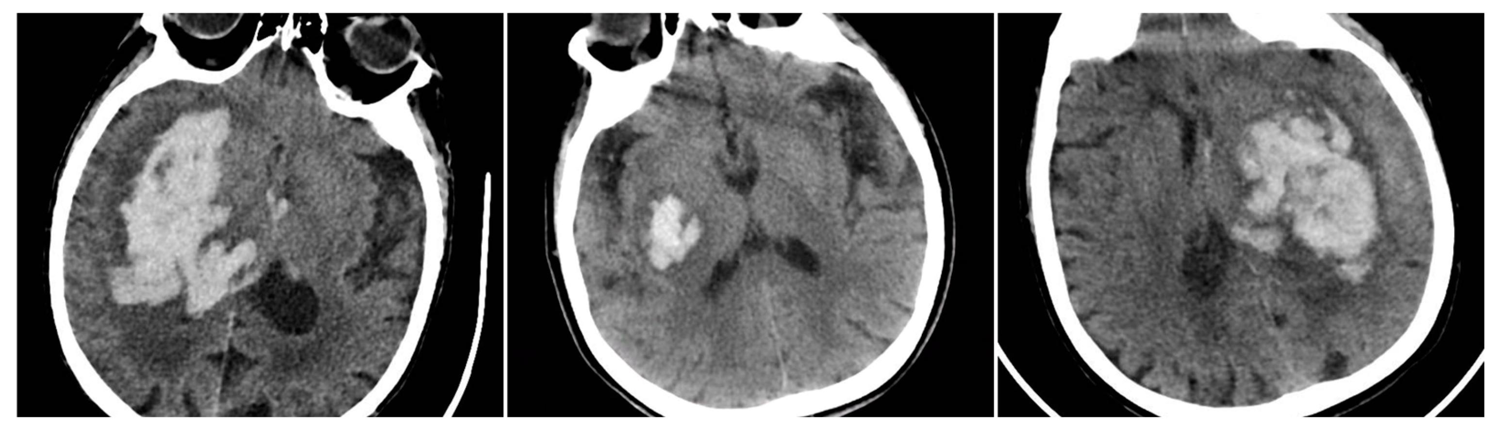 Preprints 159420 g003