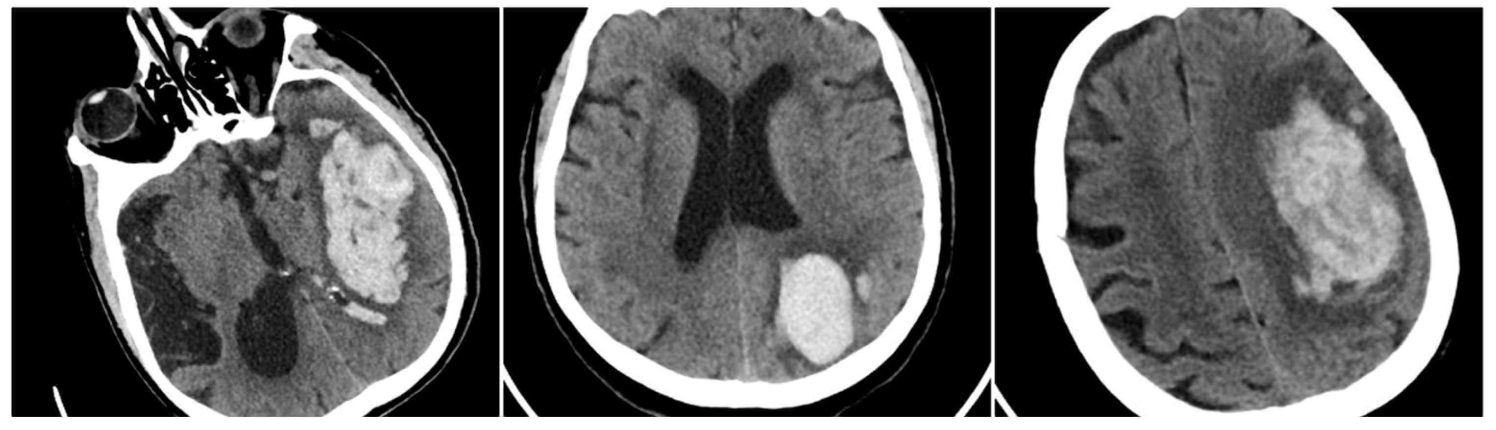 Preprints 159420 g004