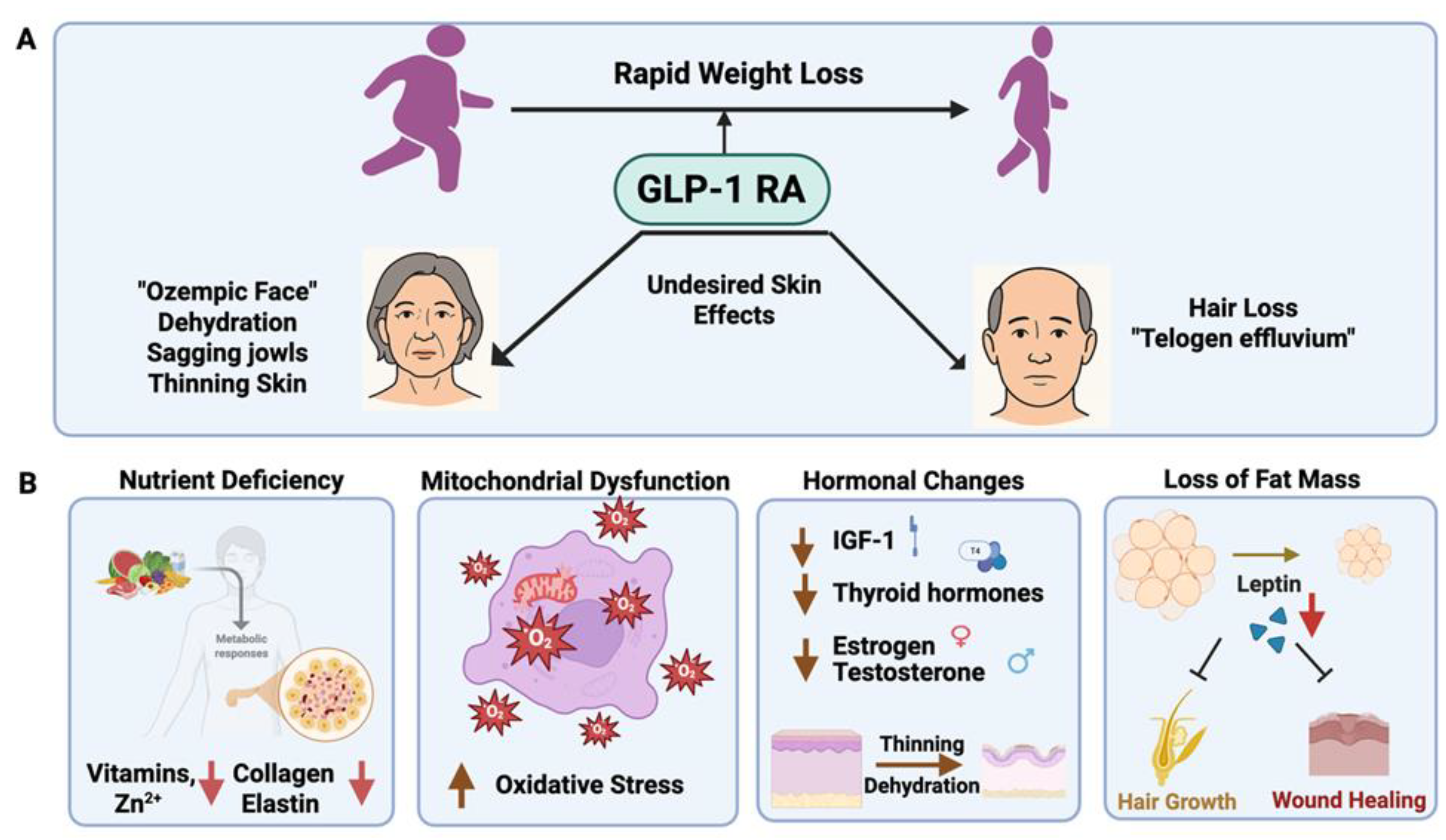 Preprints 164552 g001