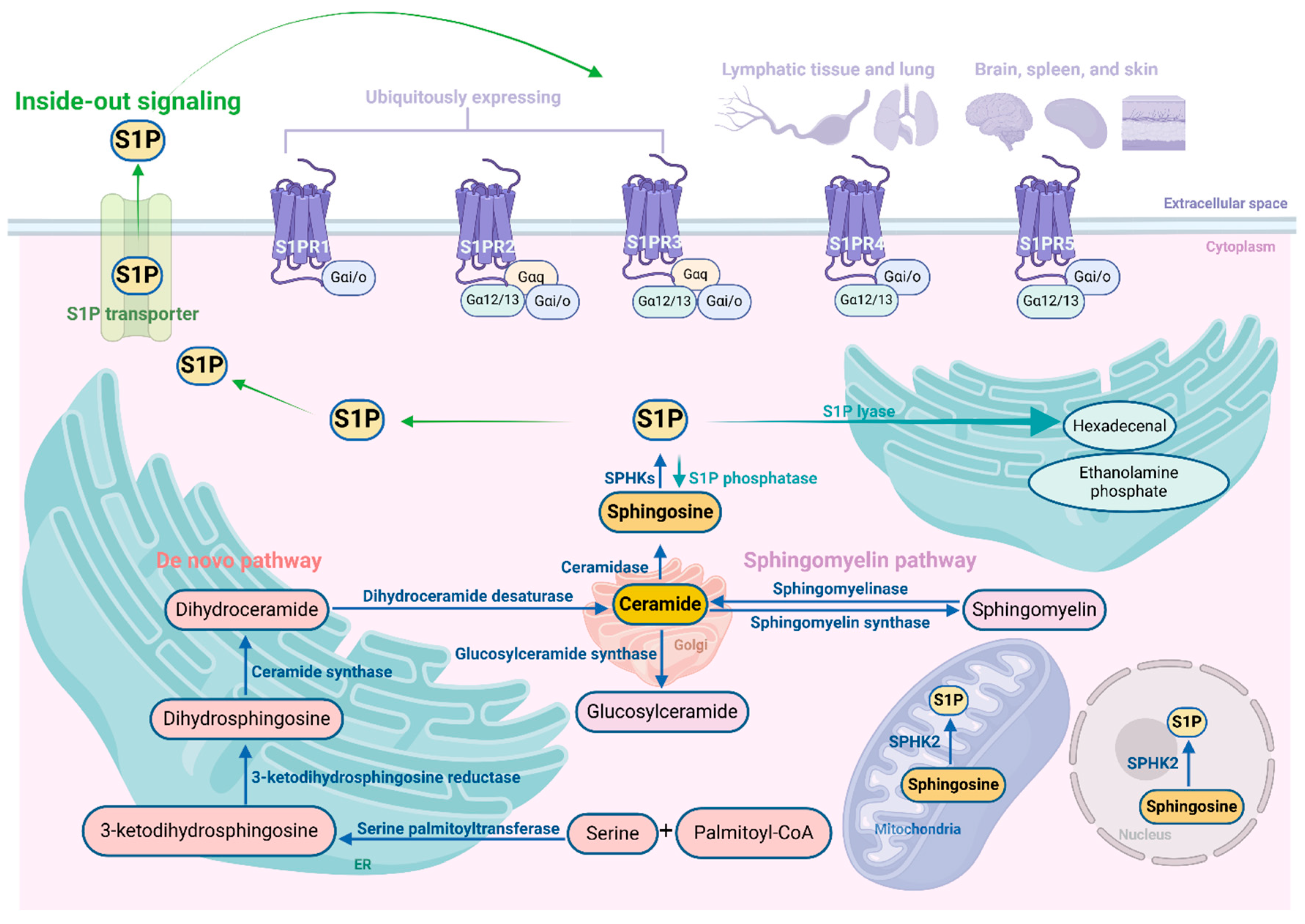 Preprints 120666 g001