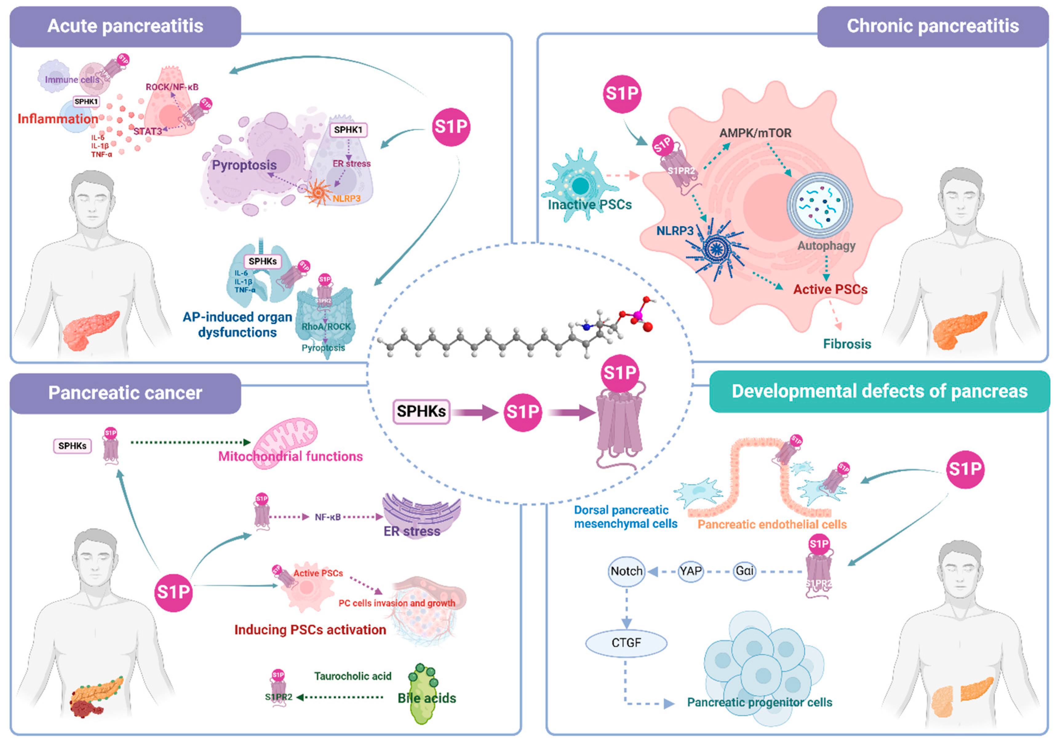 Preprints 120666 g002