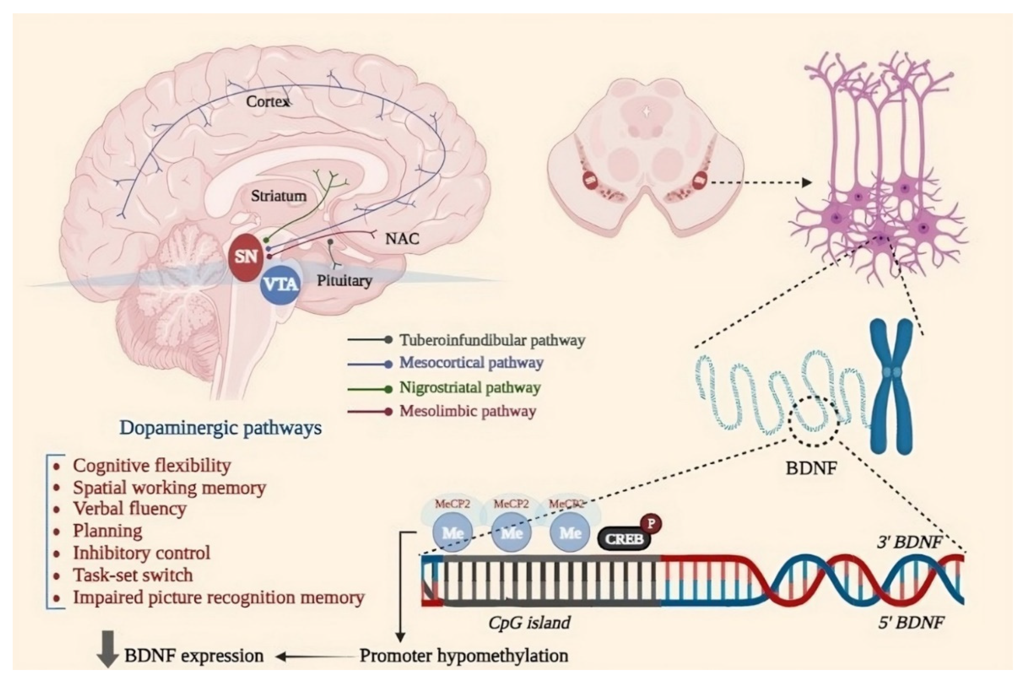 Preprints 109260 g001