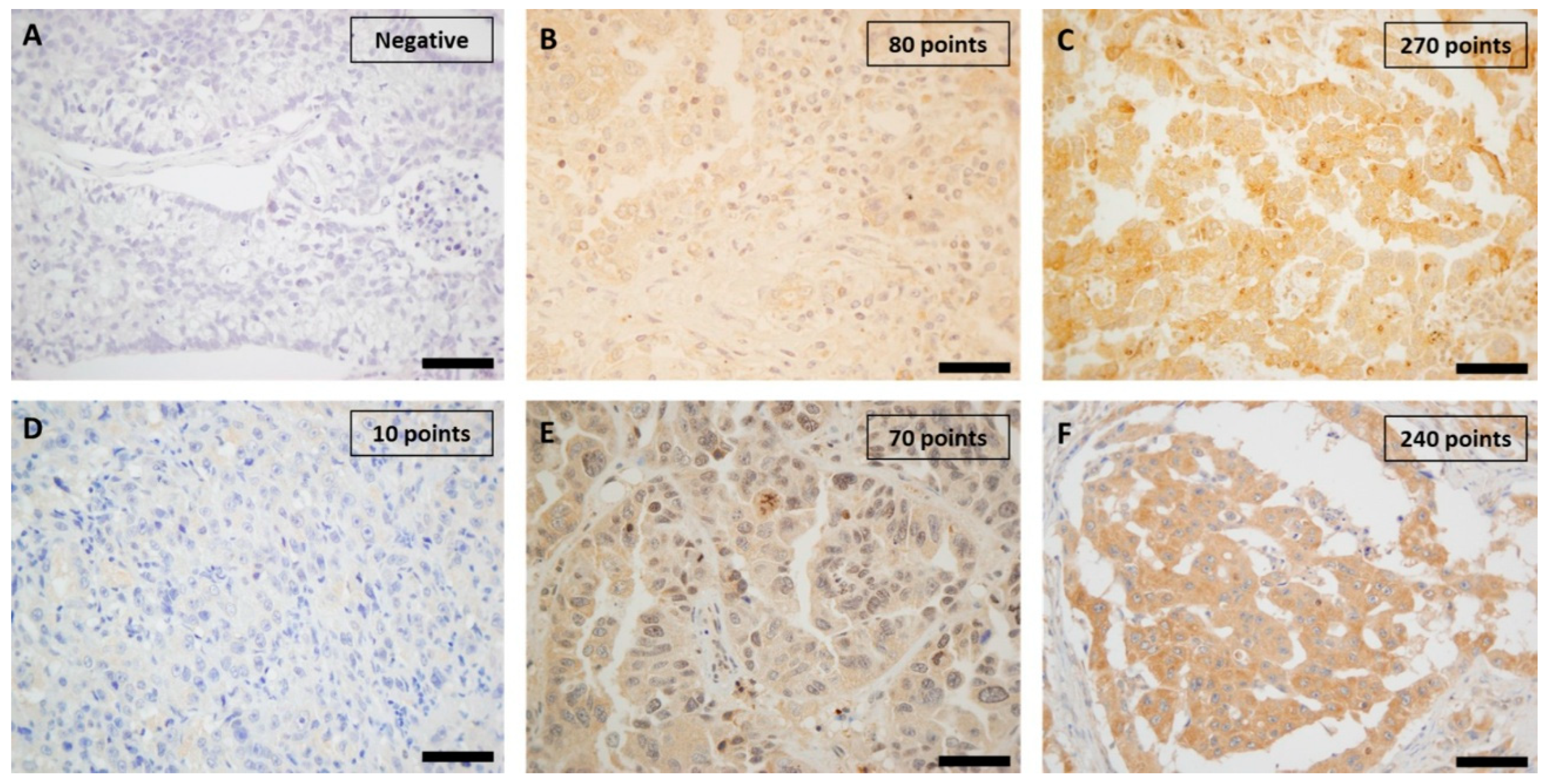 Preprints 150747 g001