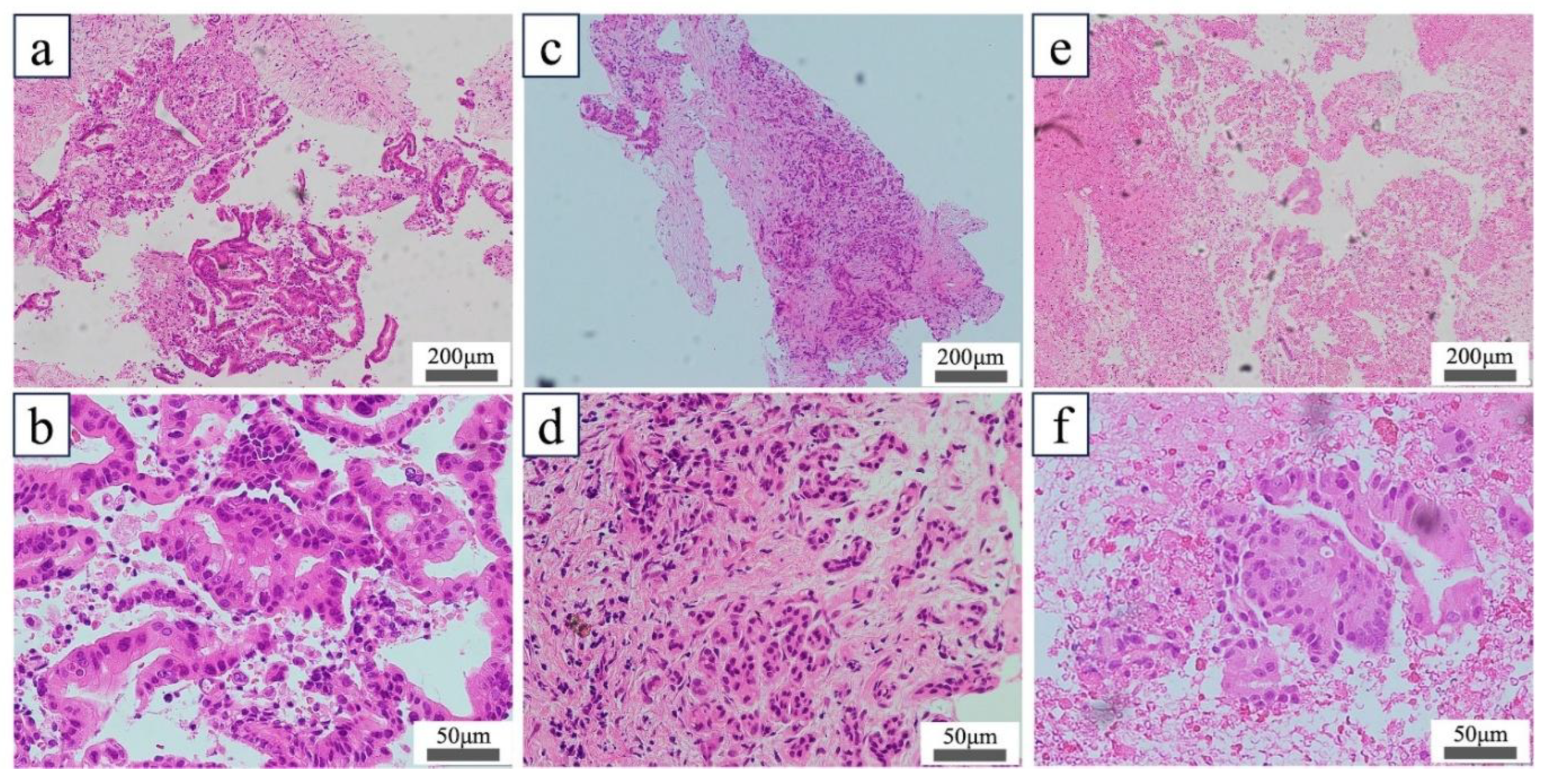 Preprints 185111 g004