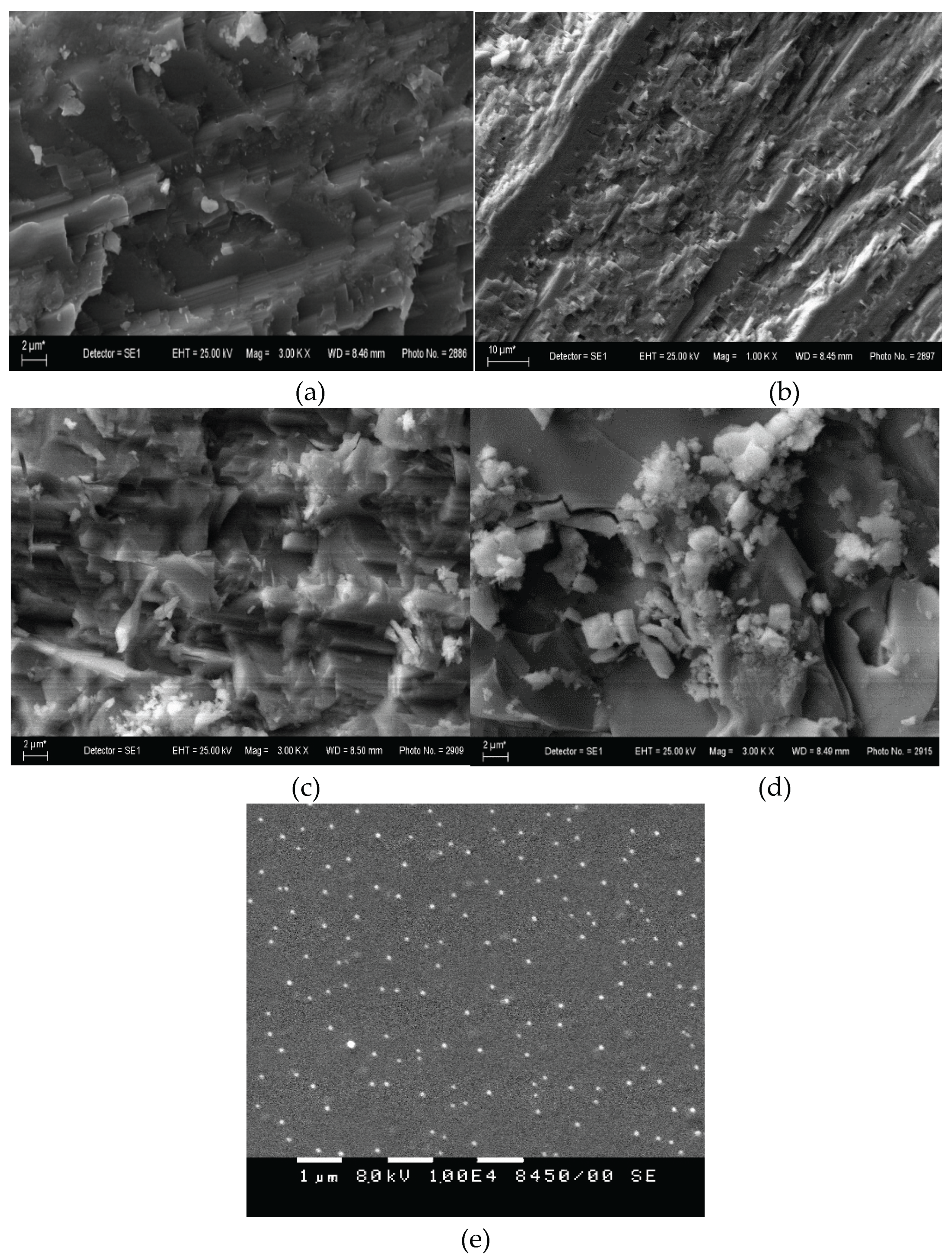 Preprints 167335 g003