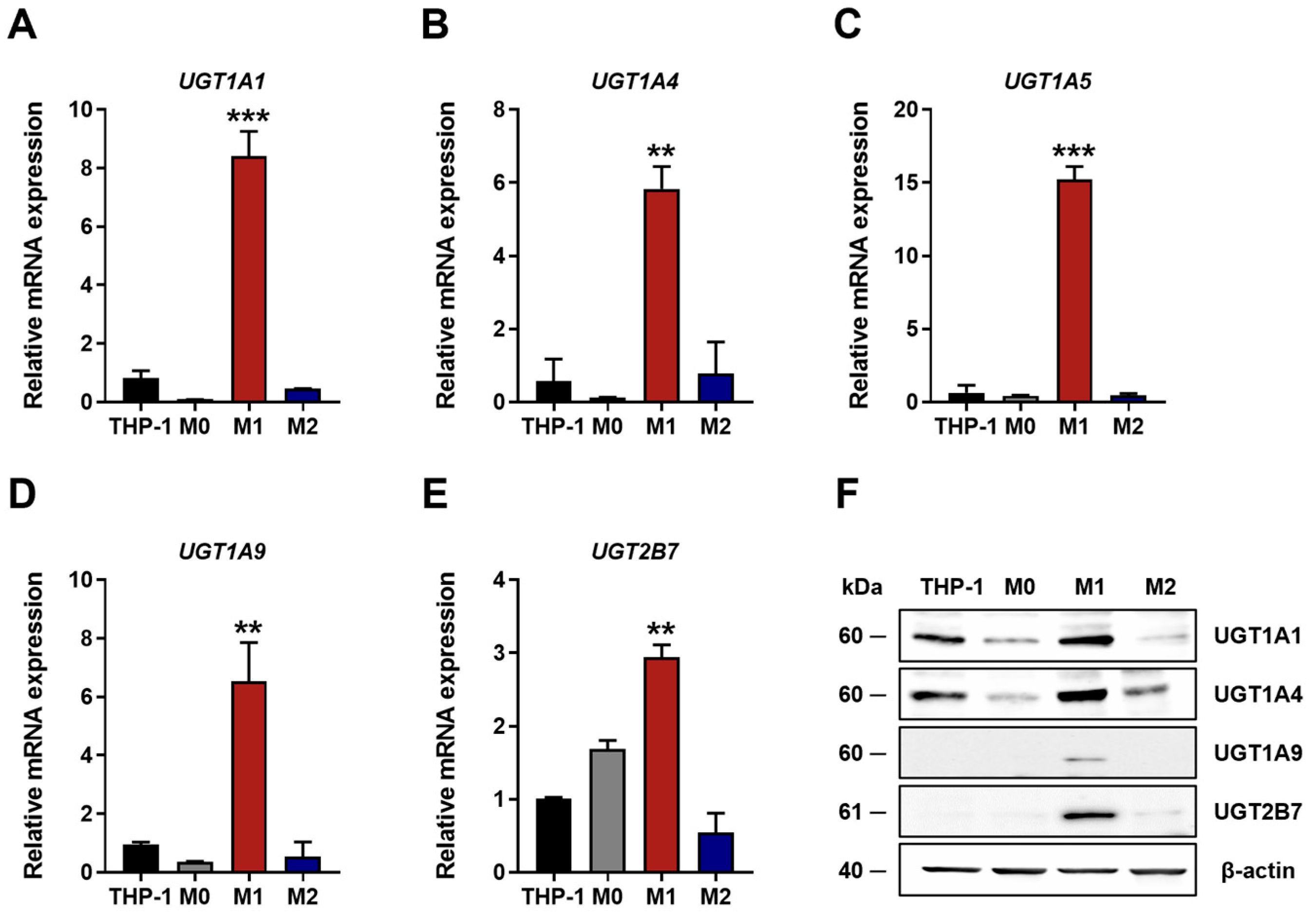 Preprints 194990 g002