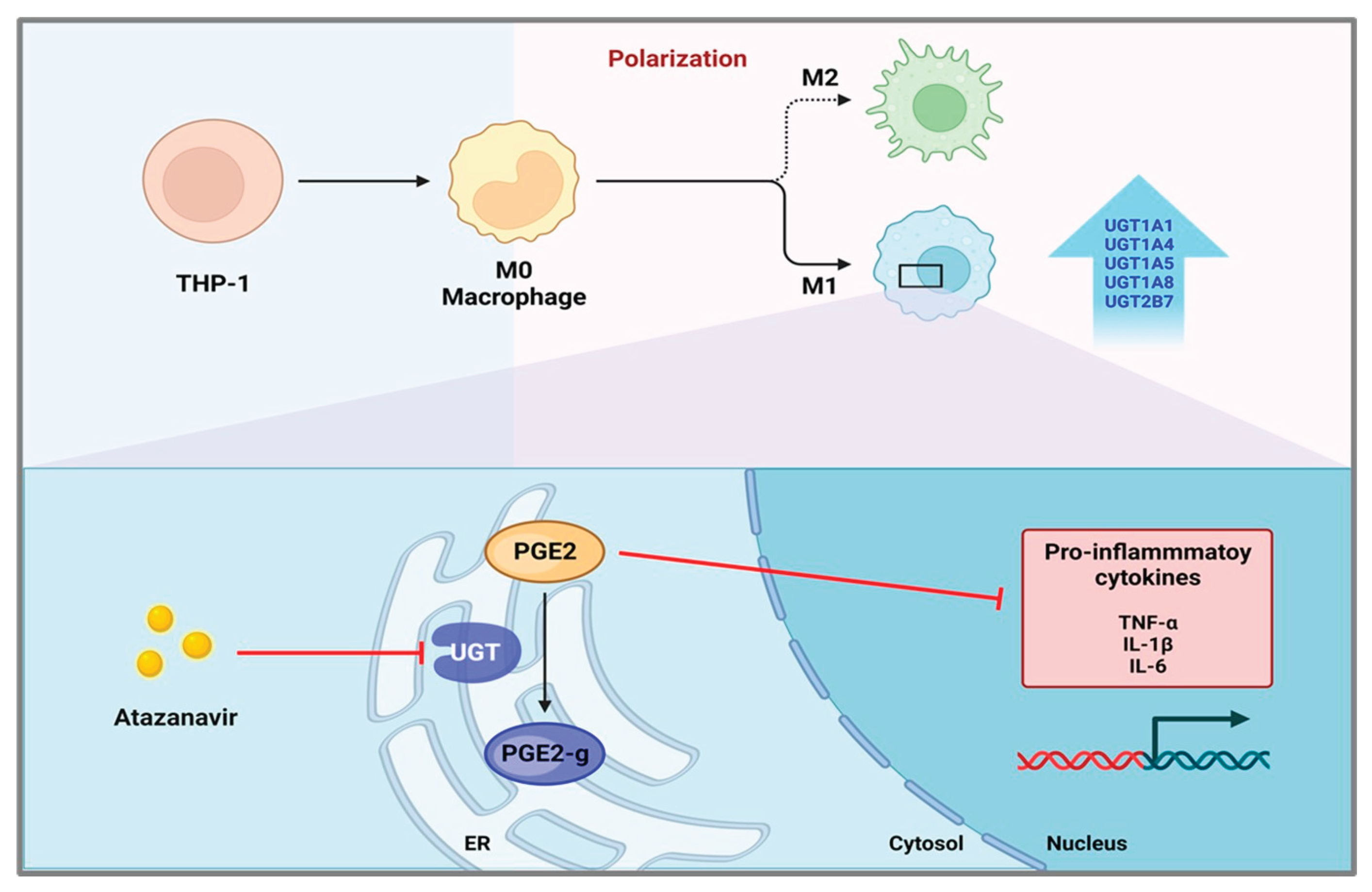 Preprints 194990 g006