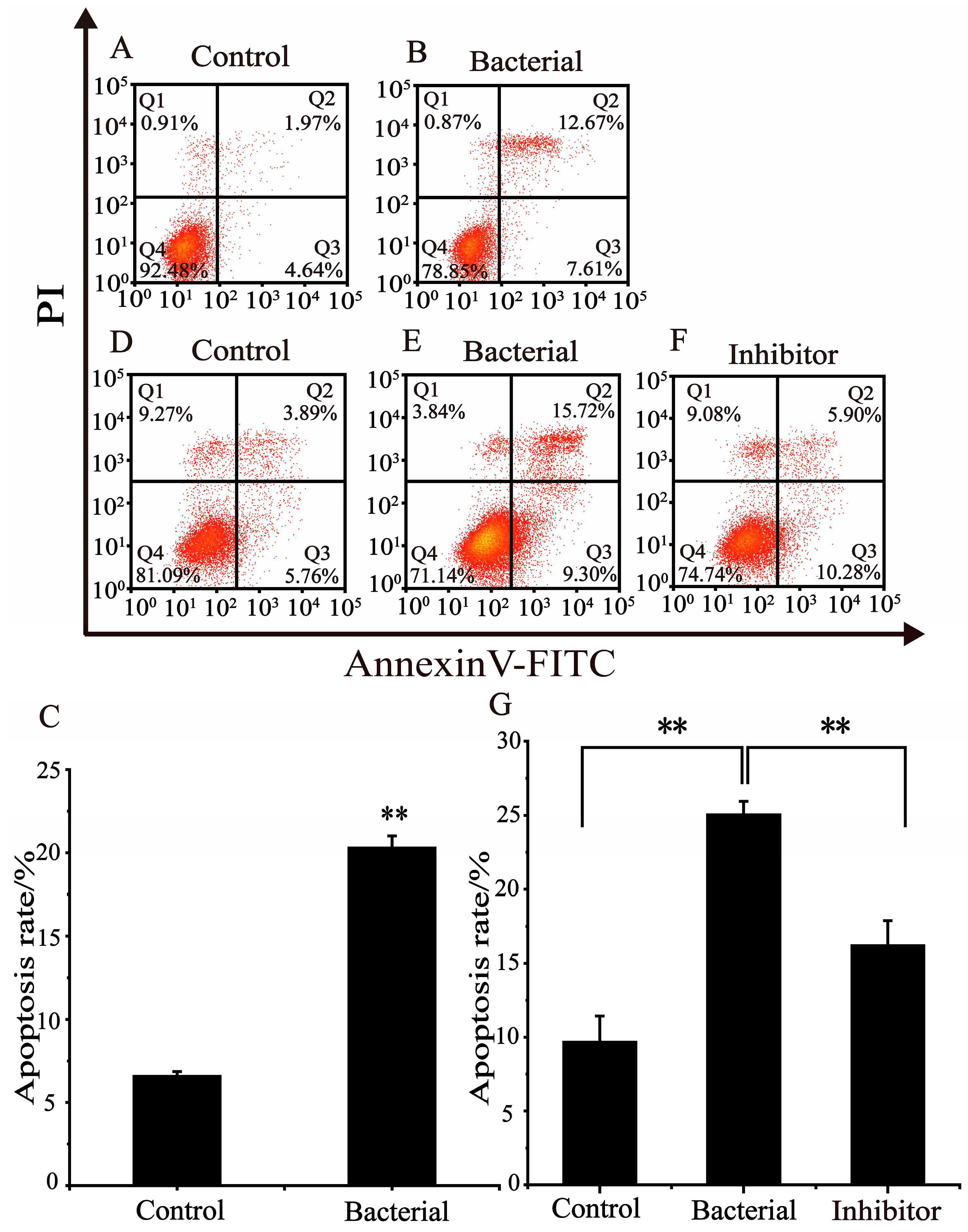 Preprints 73636 g002