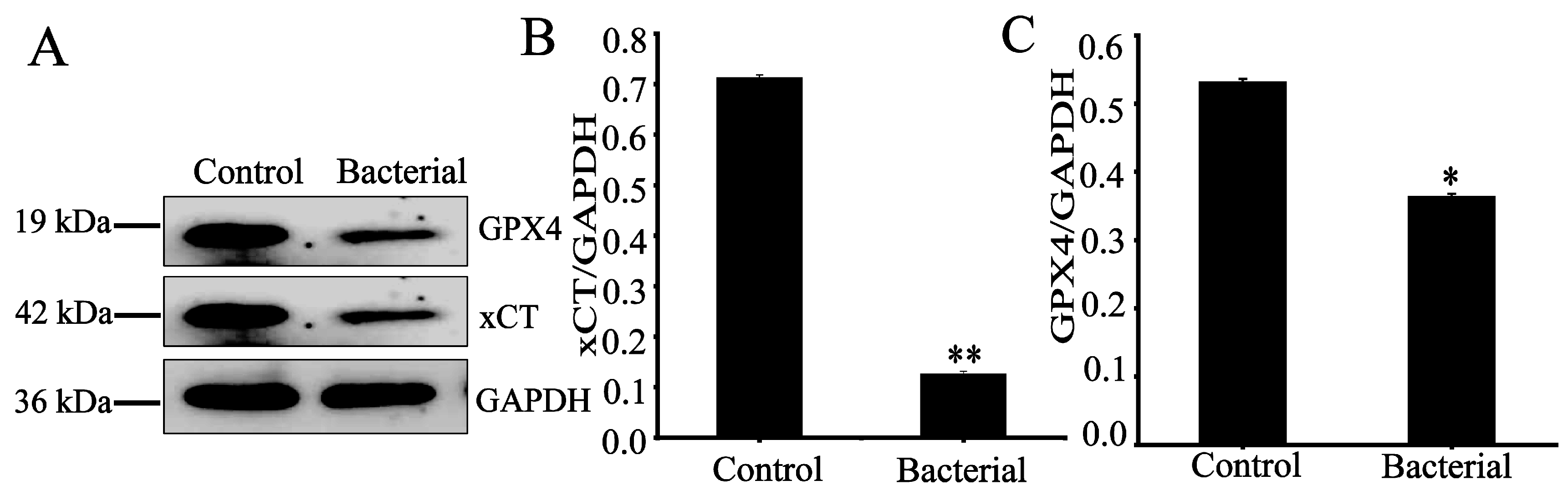 Preprints 73636 g003