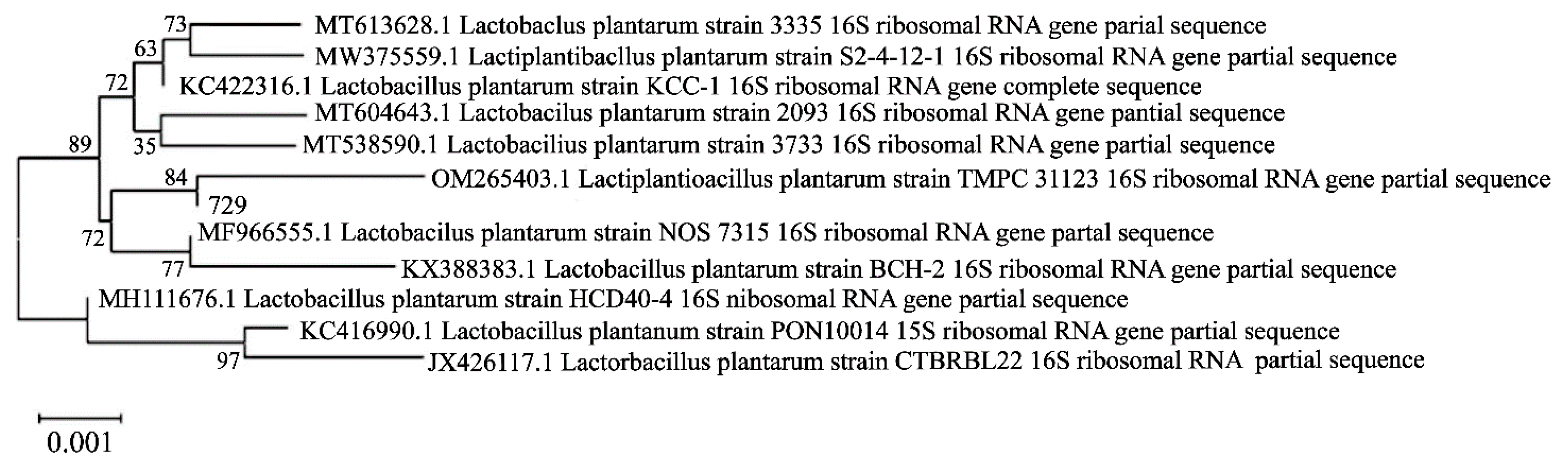 Preprints 73636 g004