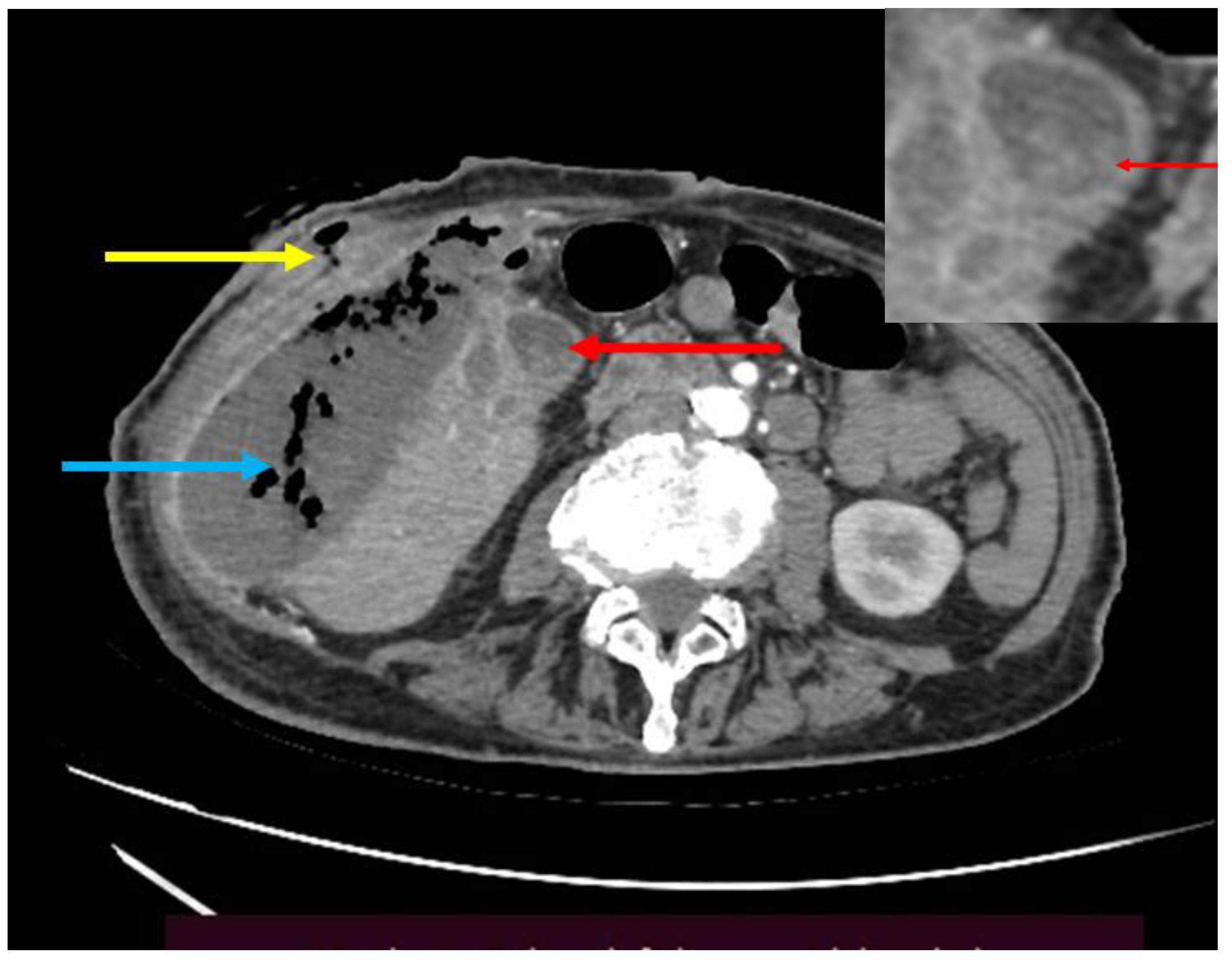 Preprints 189459 g001