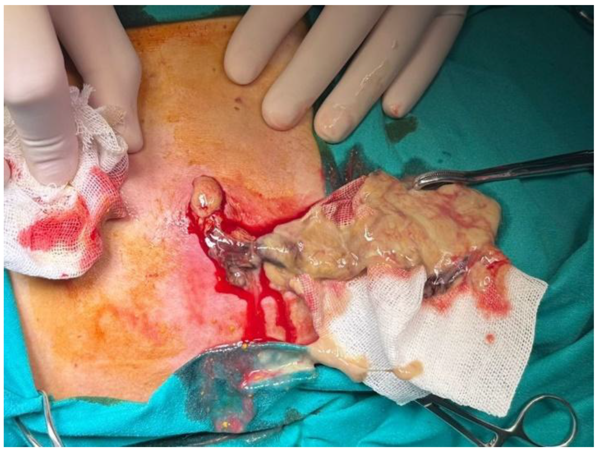 Preprints 189459 g002