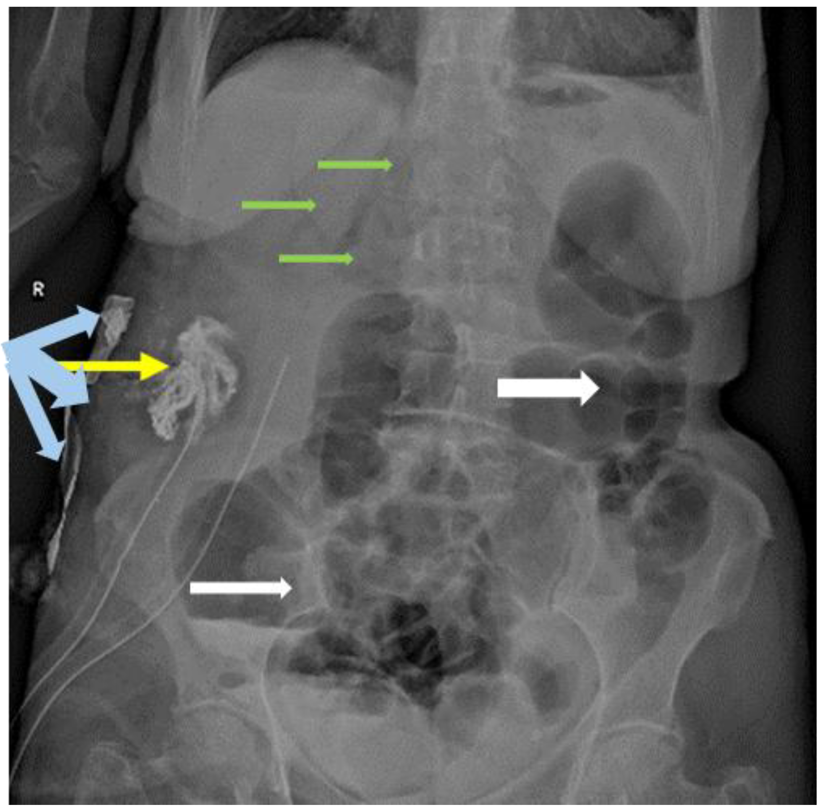 Preprints 189459 g003