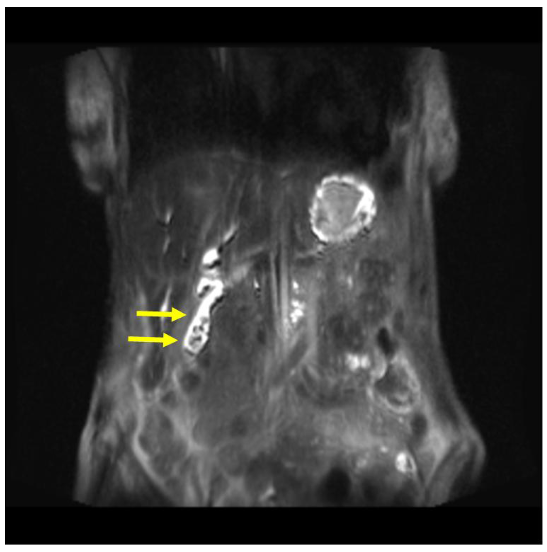 Preprints 189459 g004