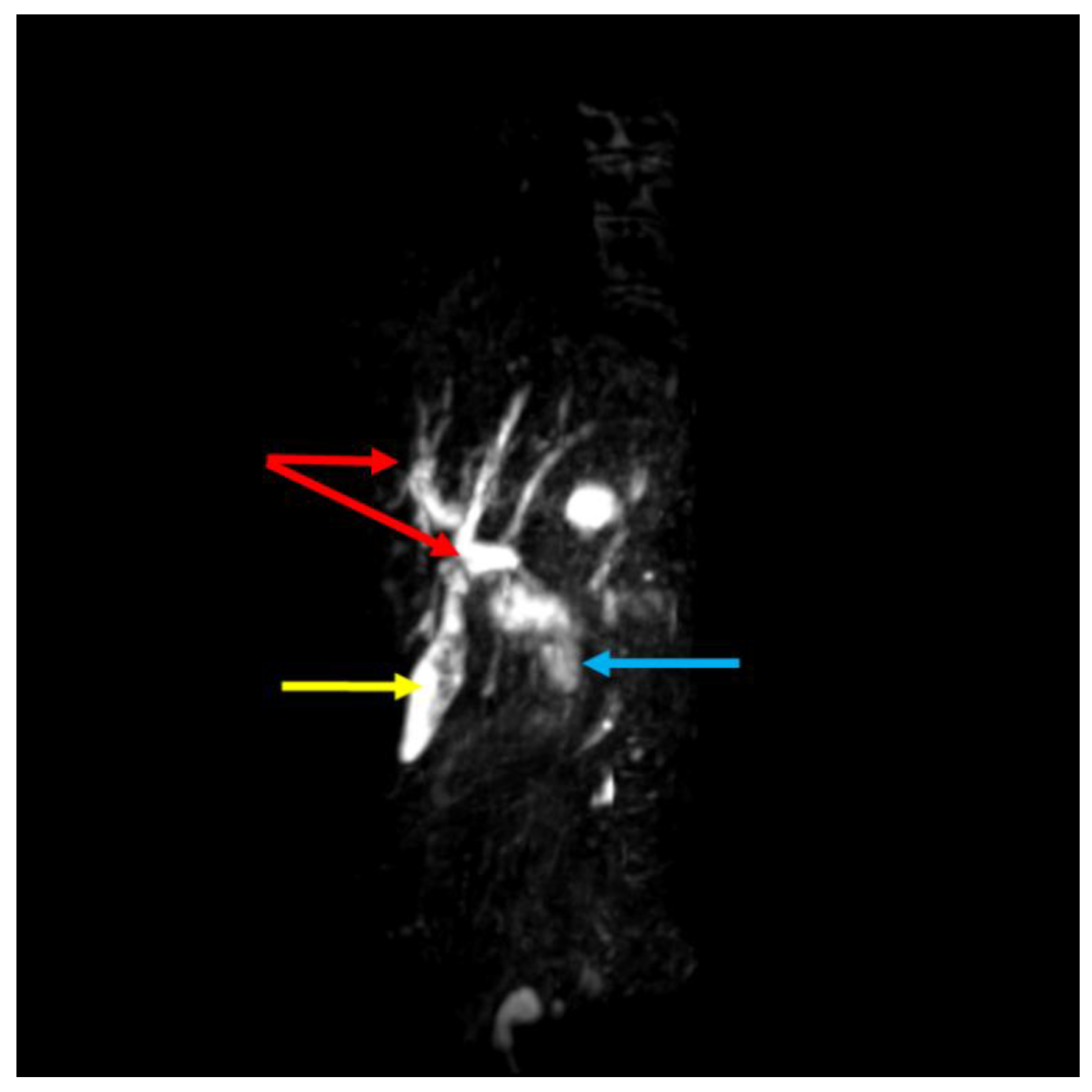 Preprints 189459 g005