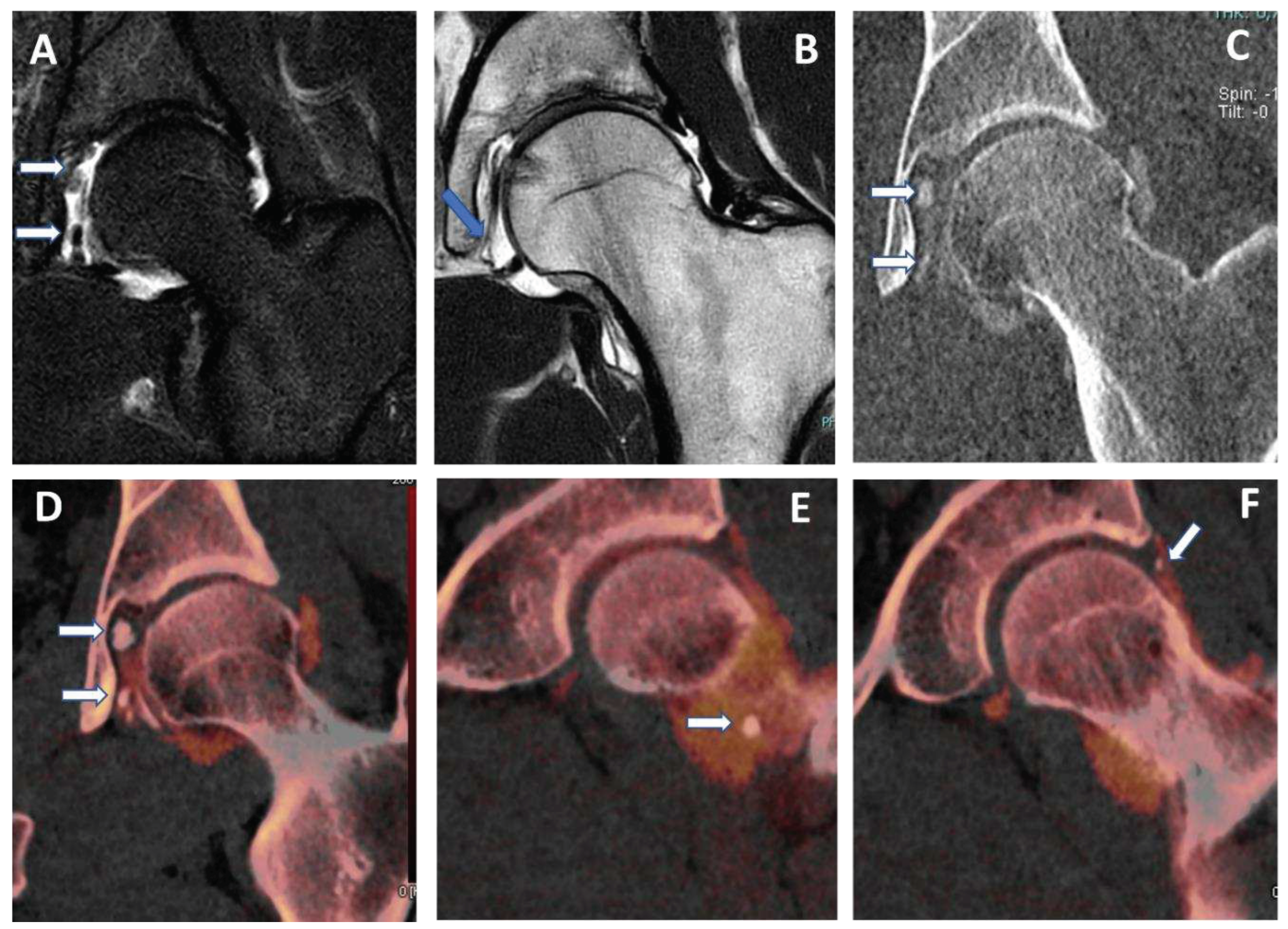 Preprints 78876 g005