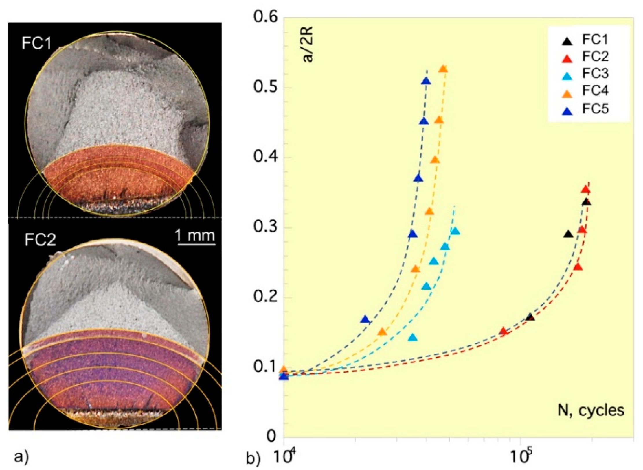 Preprints 140014 g004