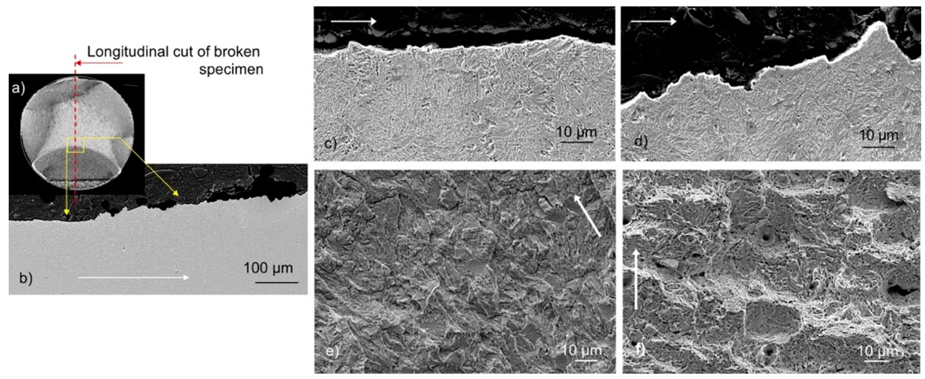 Preprints 140014 g007
