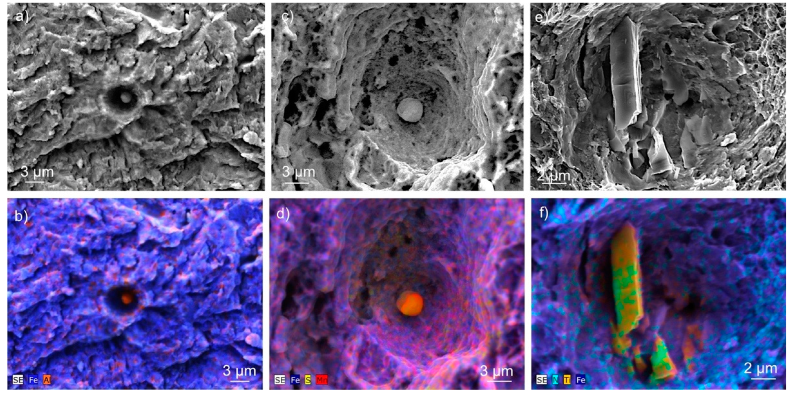 Preprints 140014 g008
