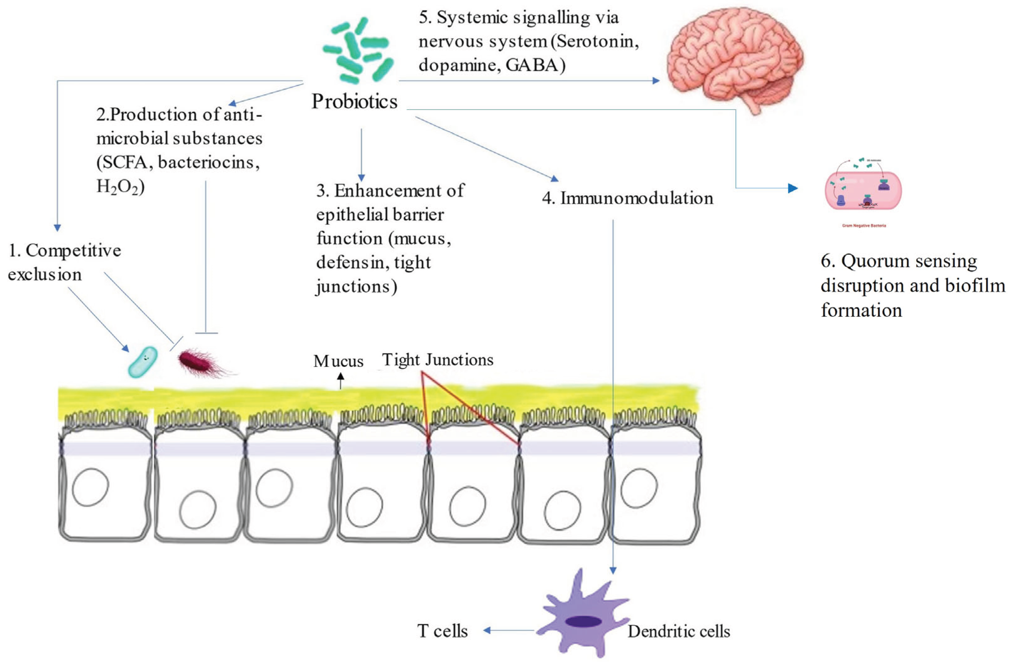Preprints 190267 g002