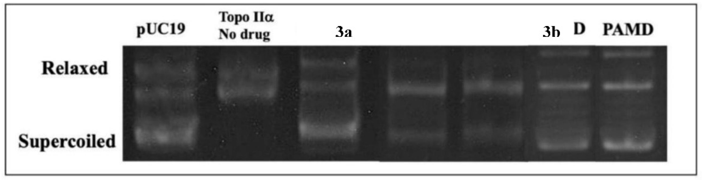 Preprints 197422 g006