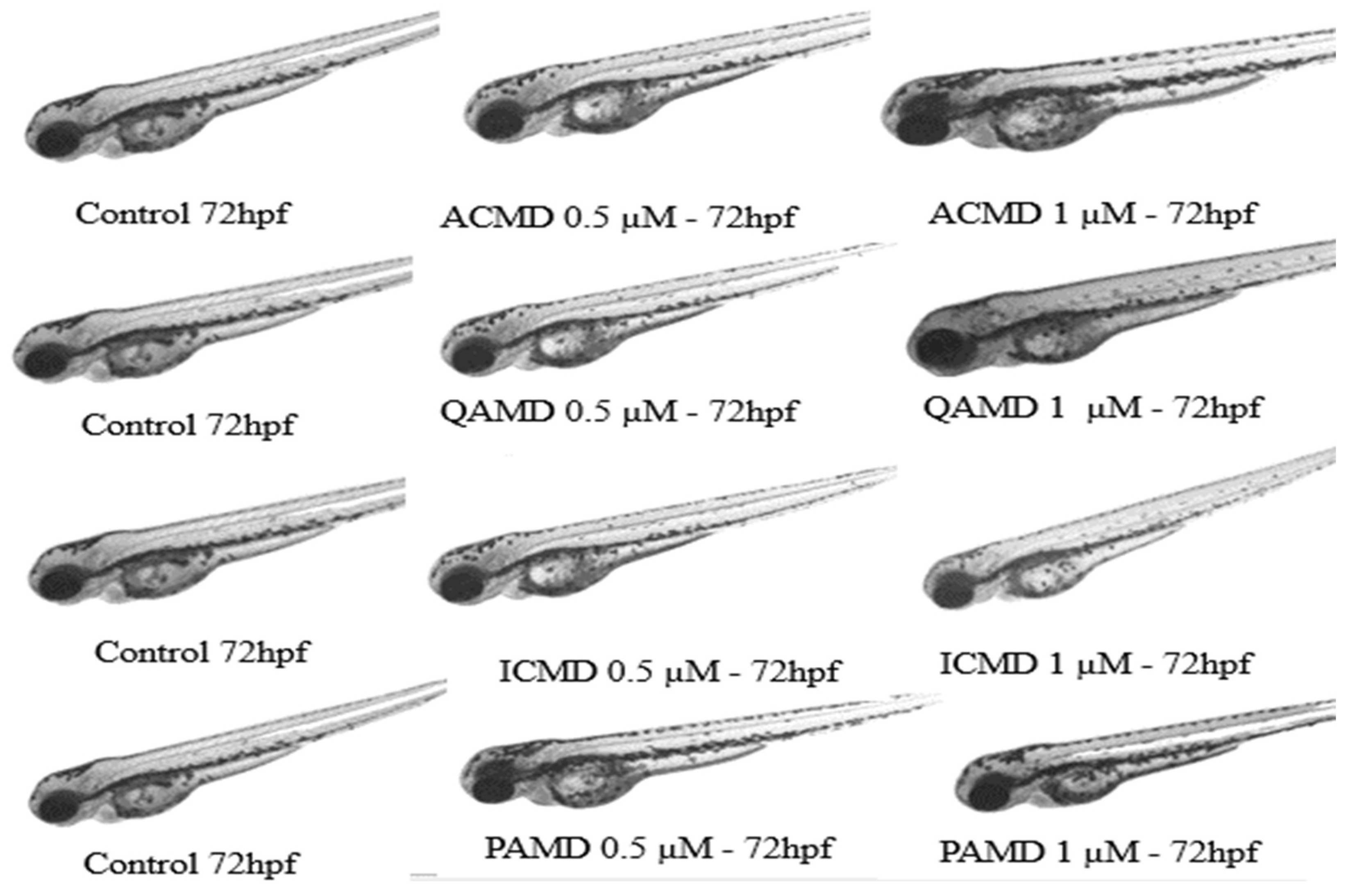 Preprints 197422 g008