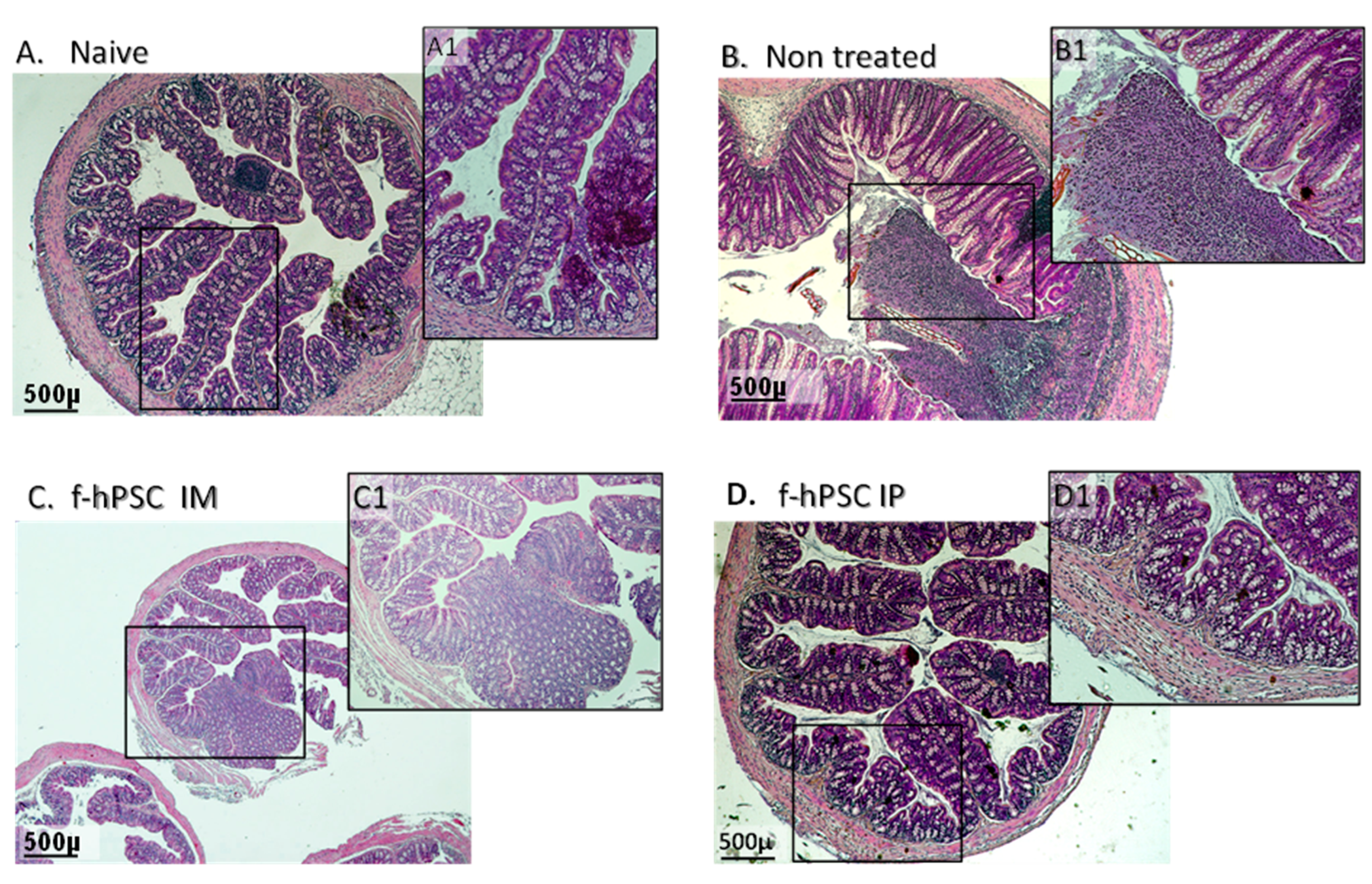 Preprints 139334 g003